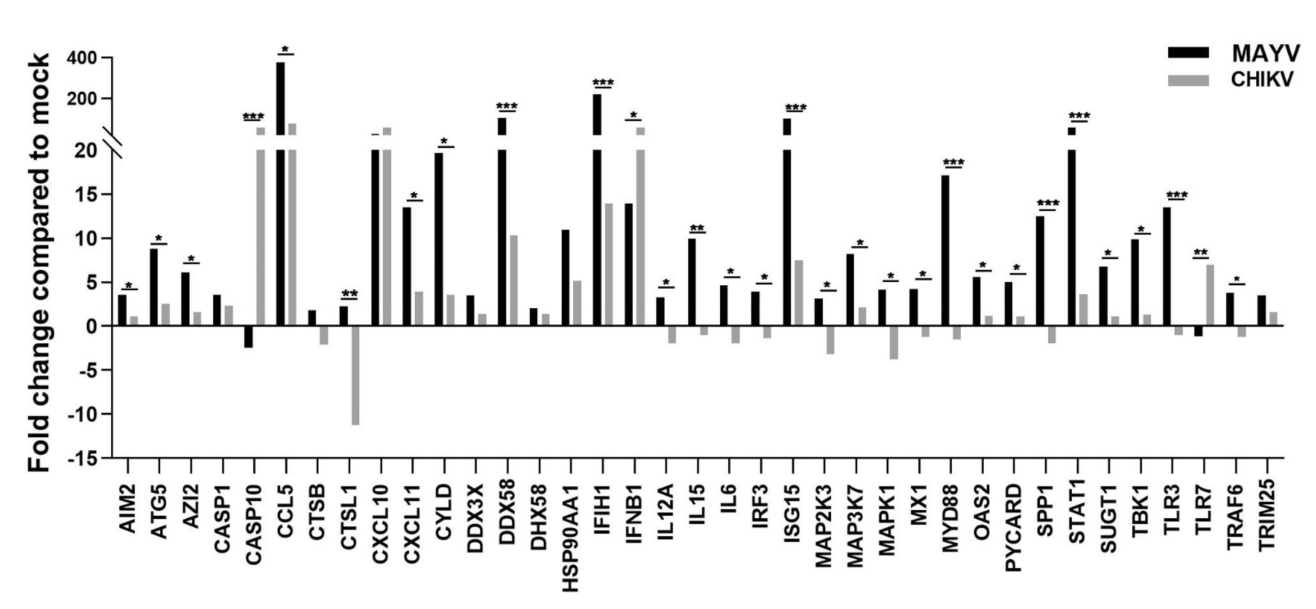 Viruses 13 00465 g003