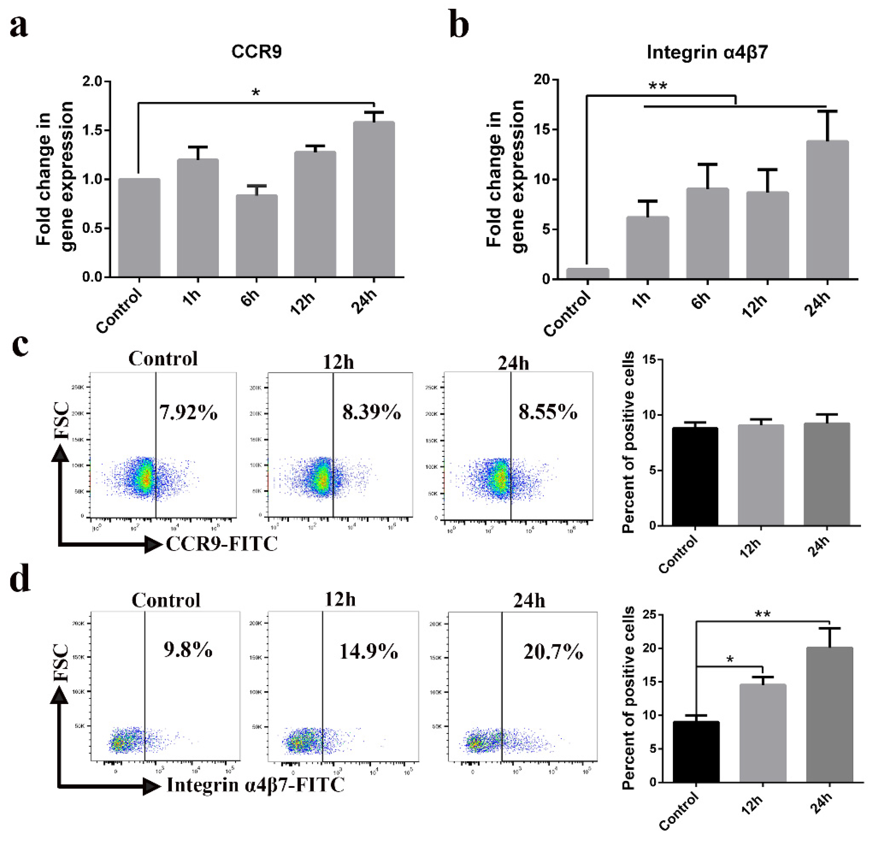 Viruses 13 00469 g007