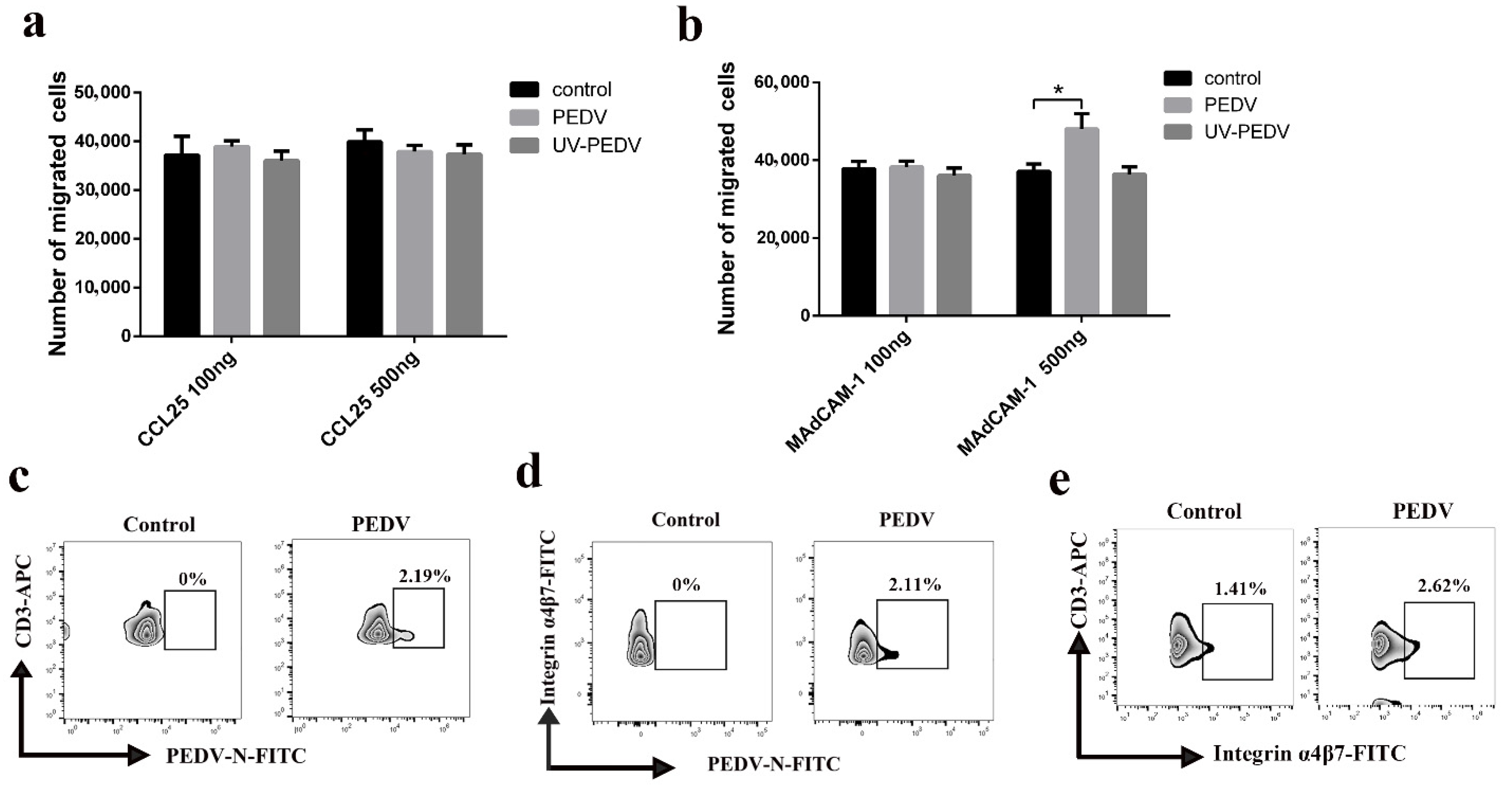 Viruses 13 00469 g008