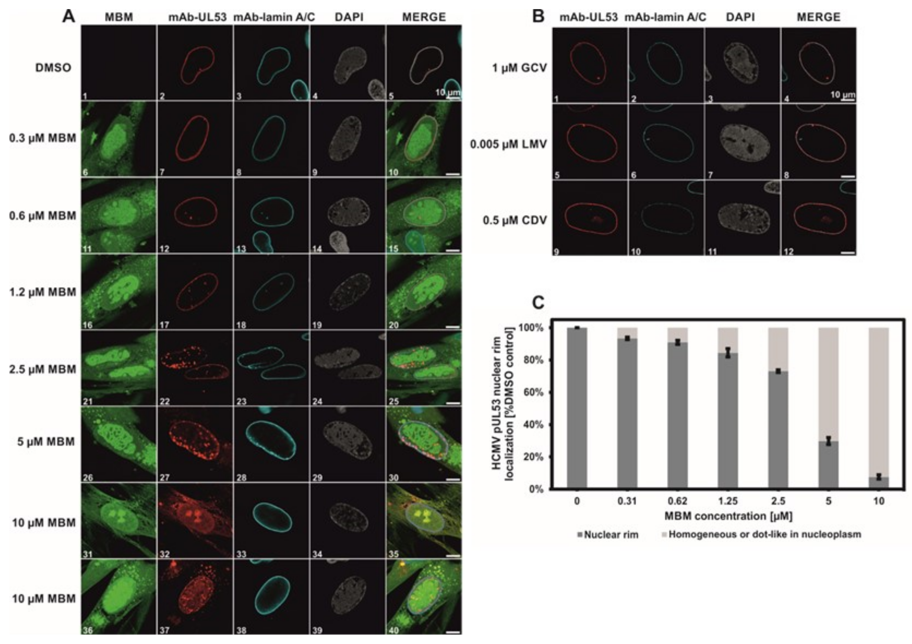 Viruses 13 00471 g005
