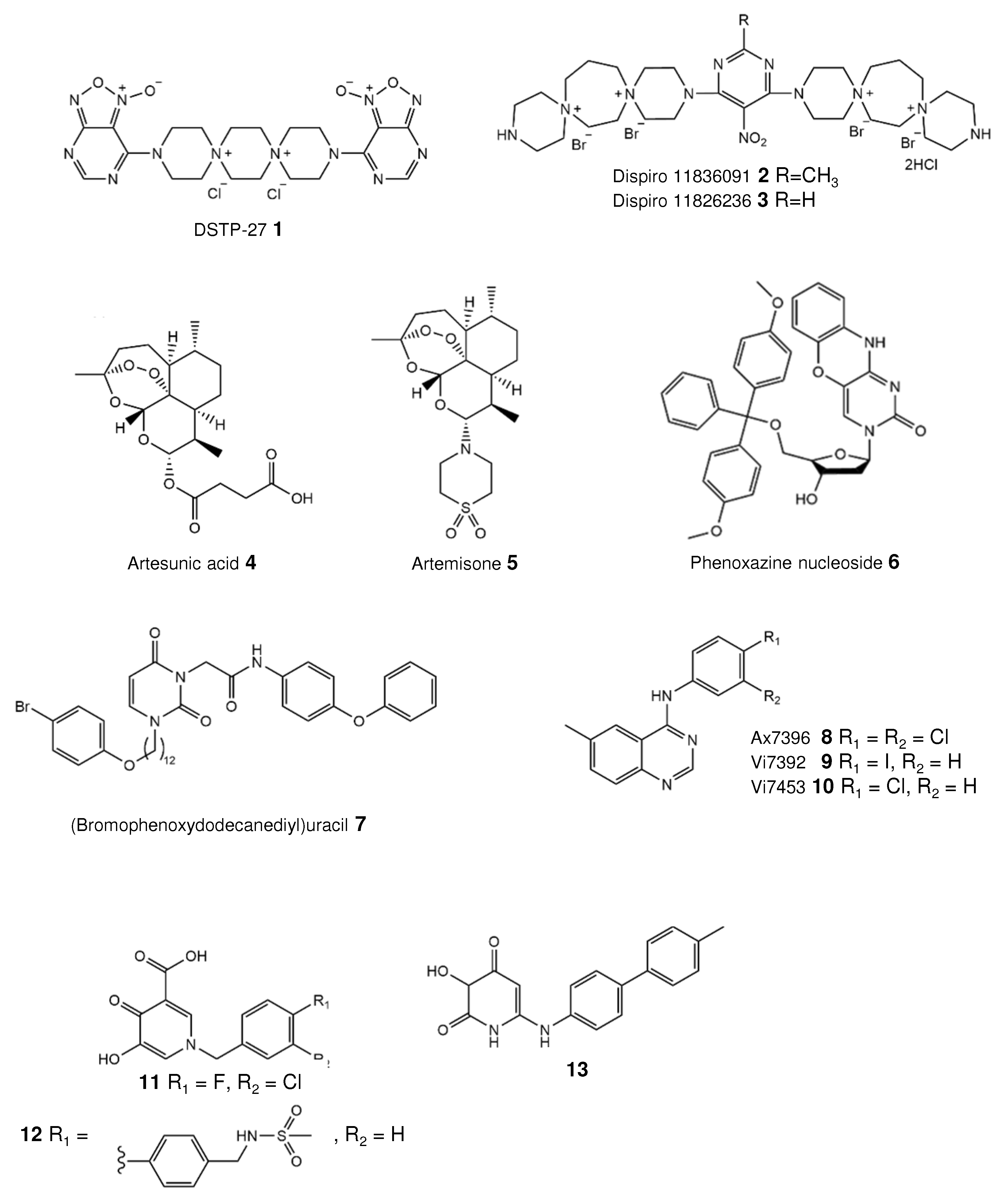 Viruses 13 00474 g003