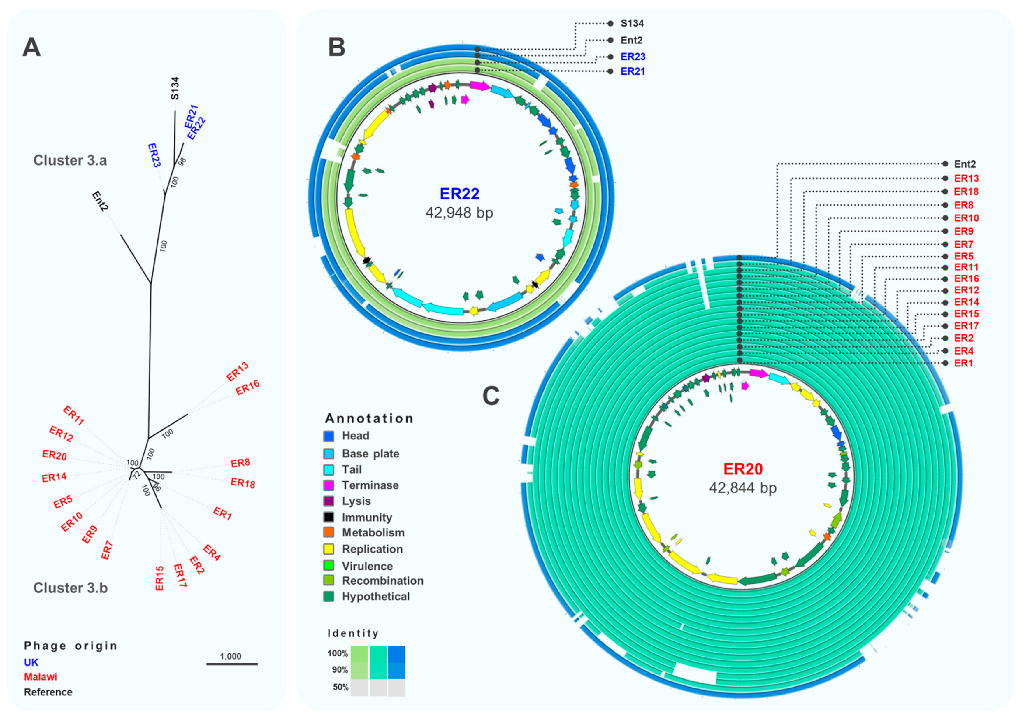 Viruses 13 00478 g005