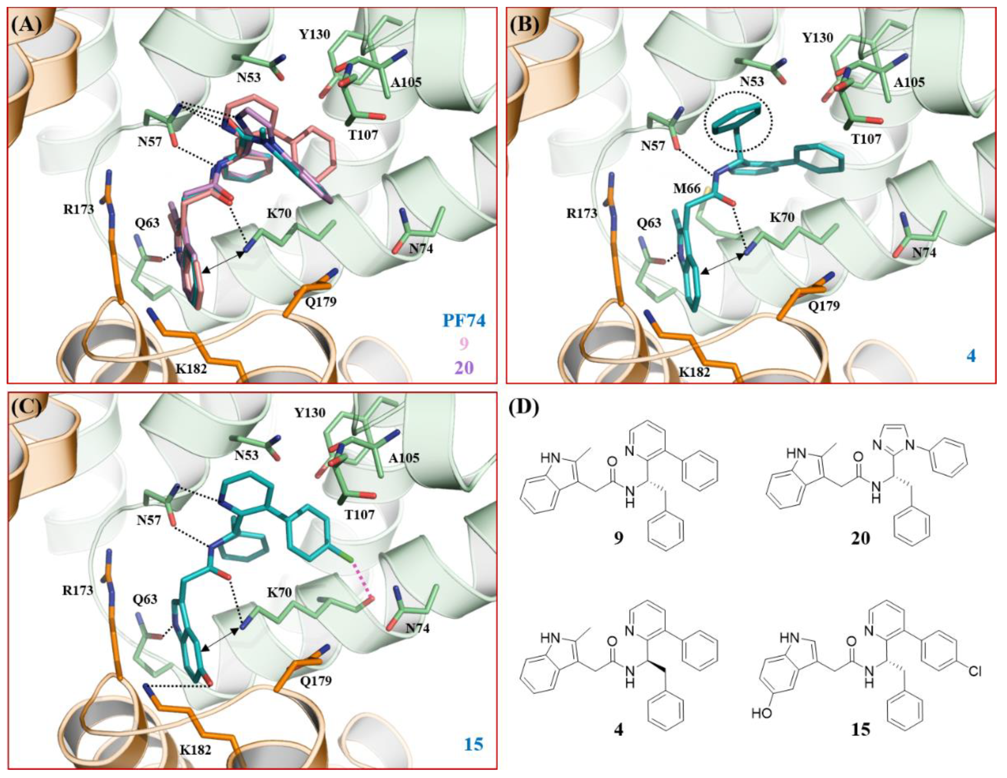 Viruses 13 00479 g004
