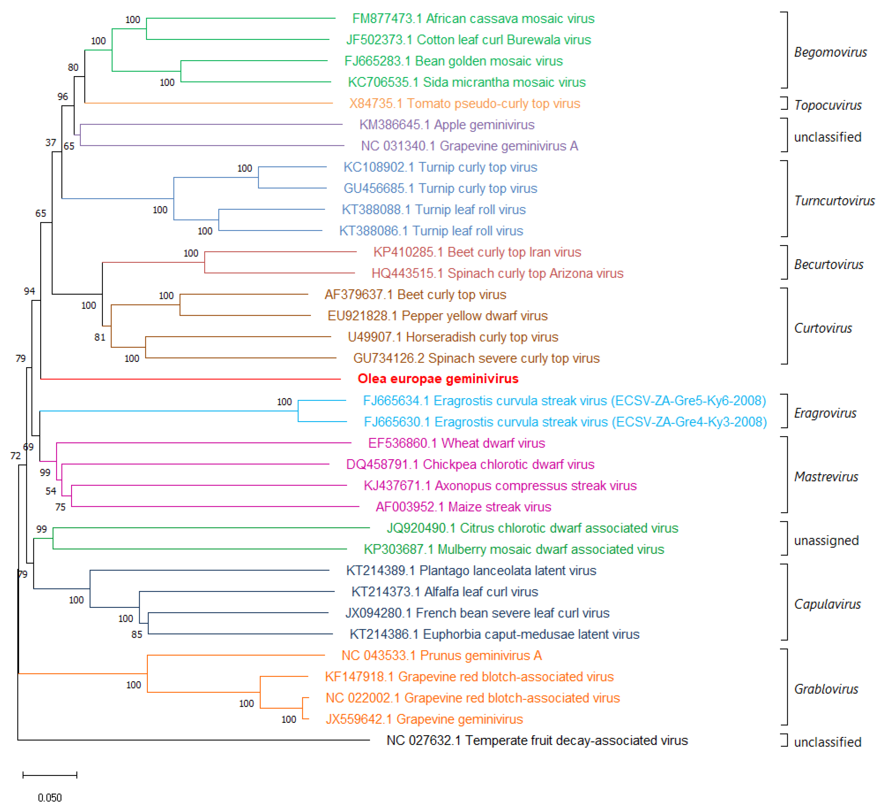 Viruses 13 00481 g002