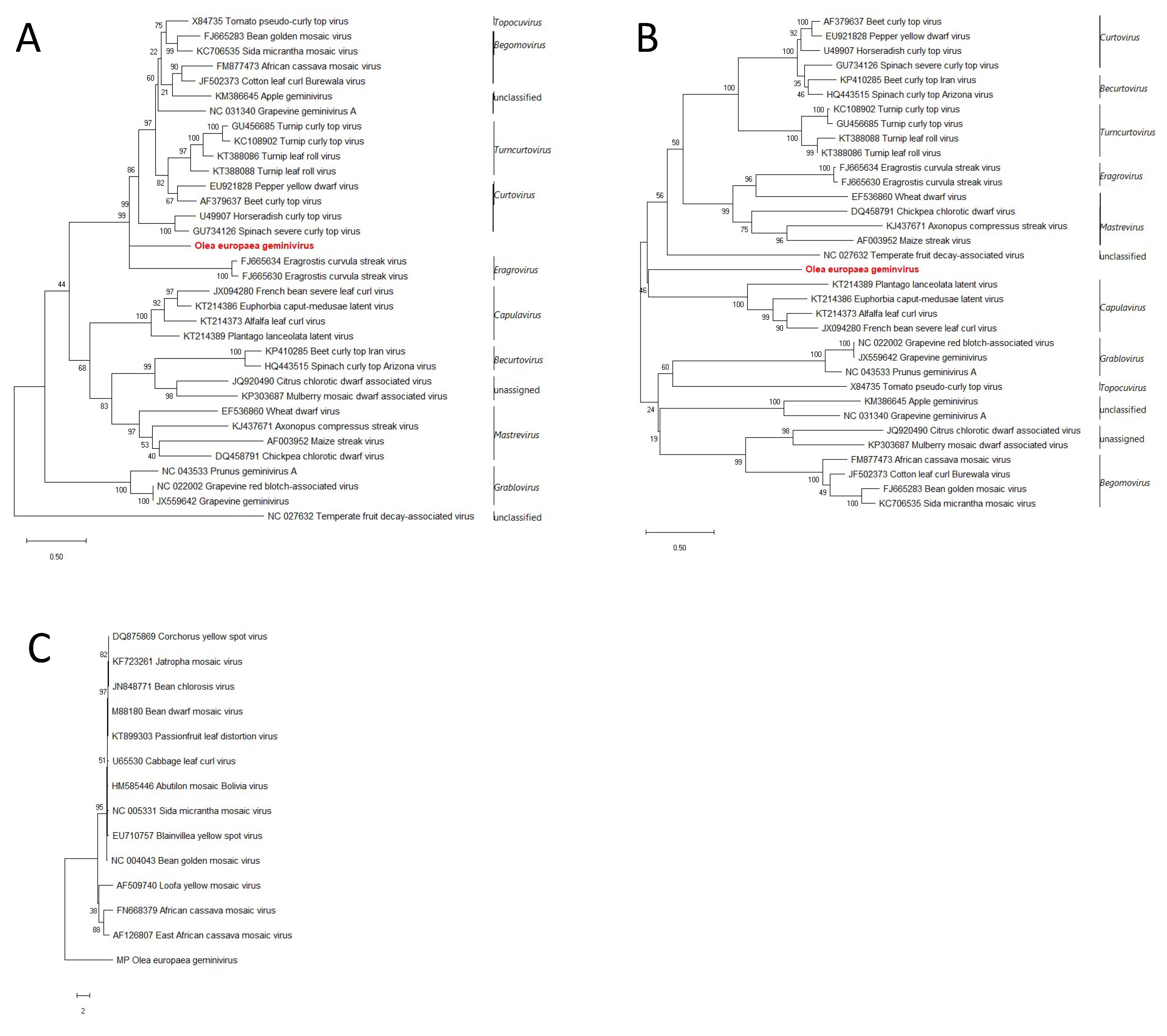 Viruses 13 00481 g003