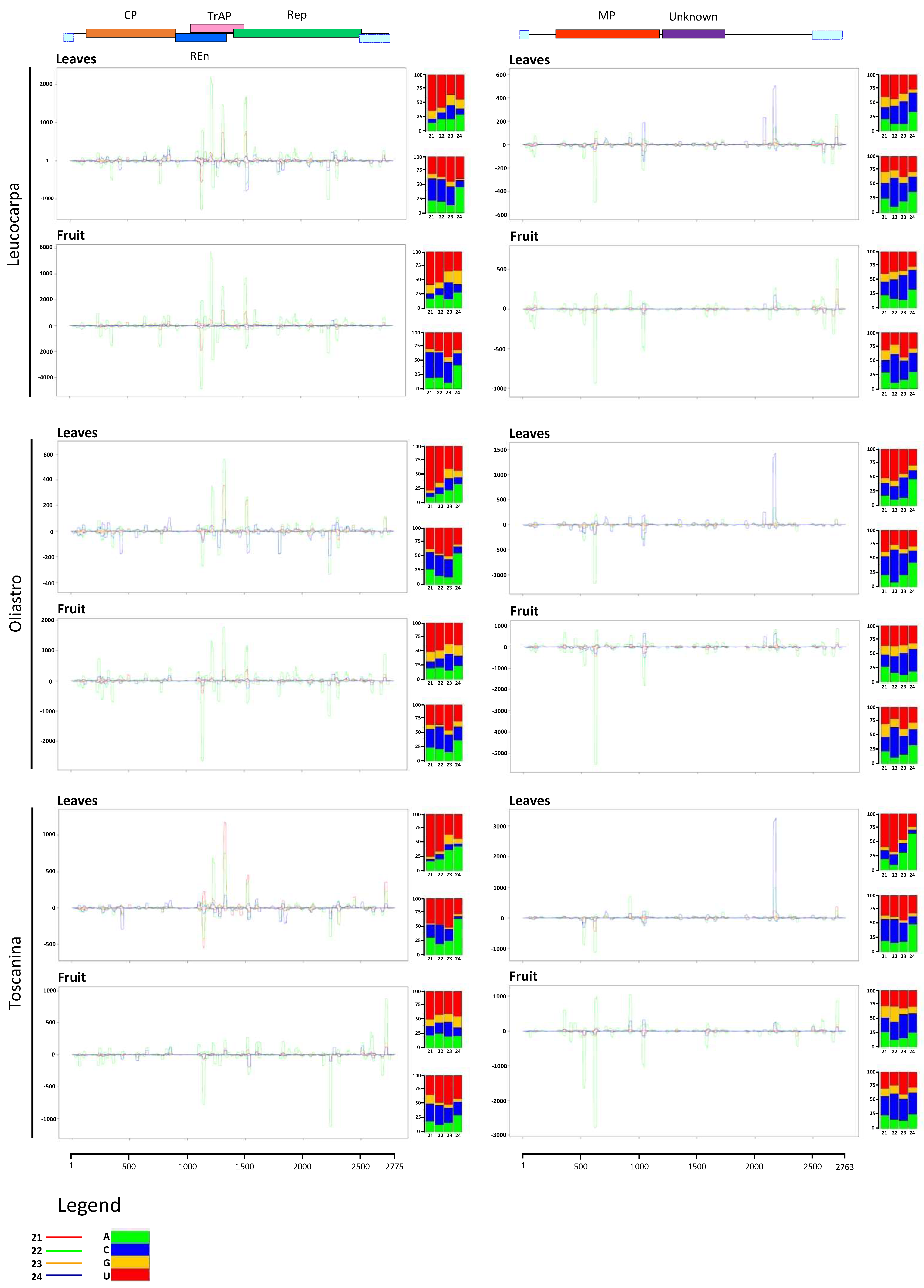 Viruses 13 00481 g004