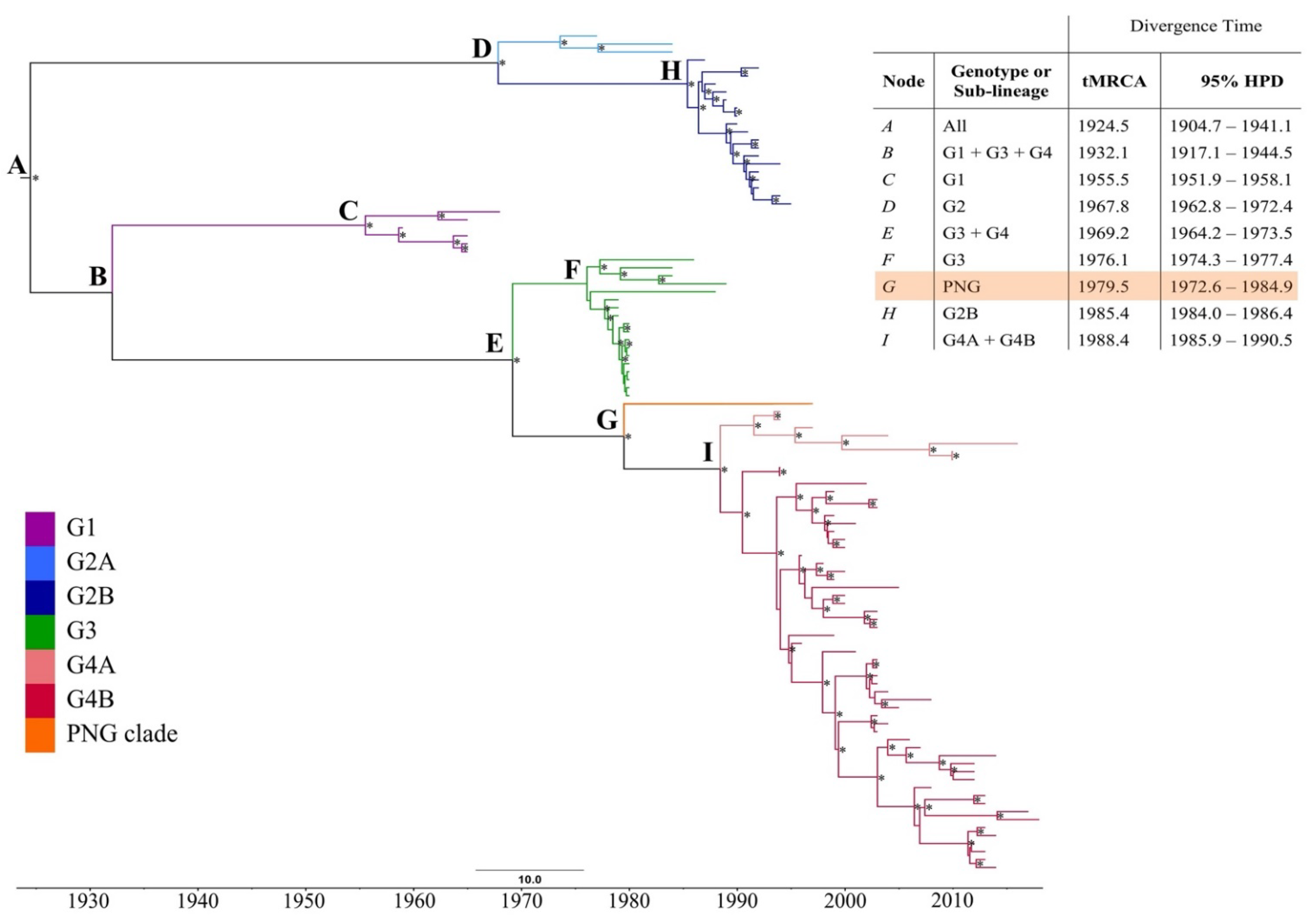 Viruses 13 00482 g001