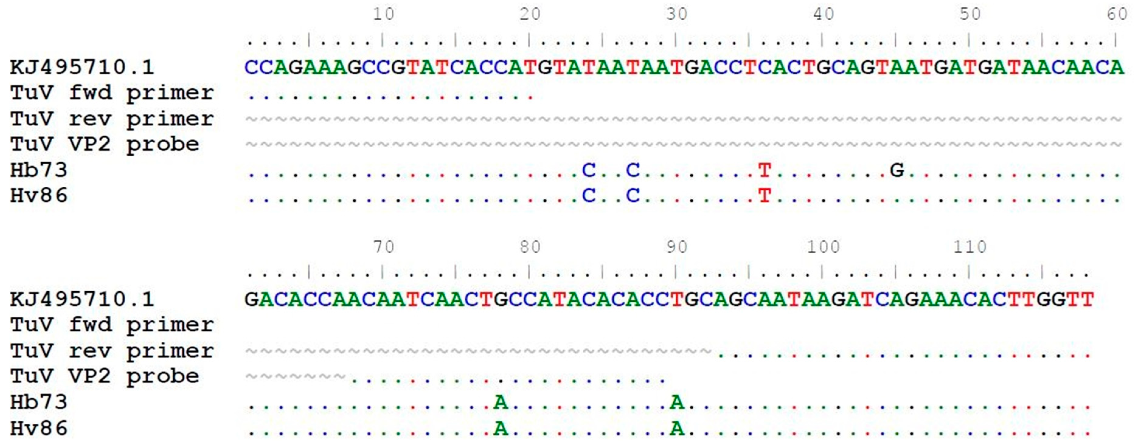 Viruses 13 00483 g002