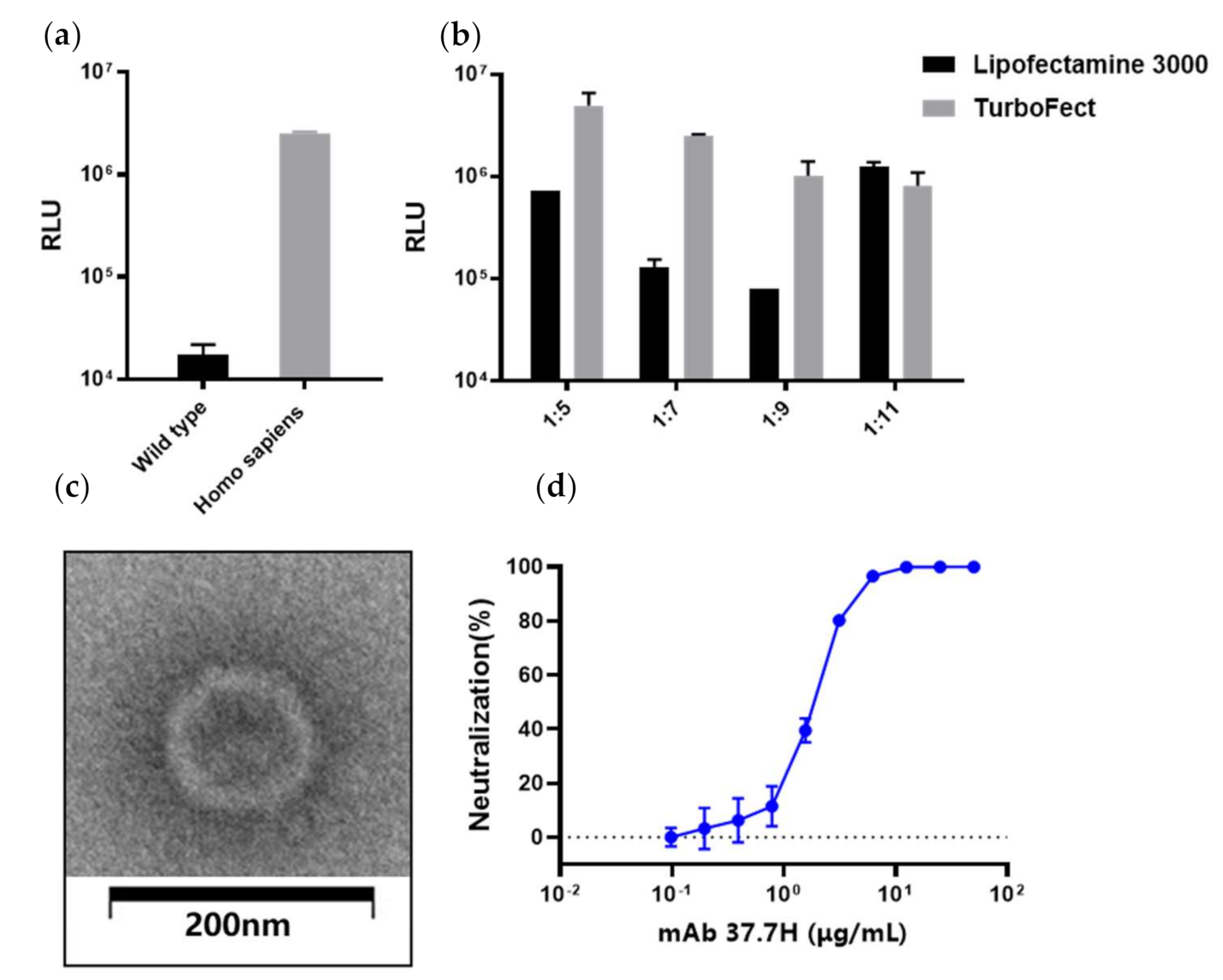 Viruses 13 00484 g006 Viruses 13 00484 g006