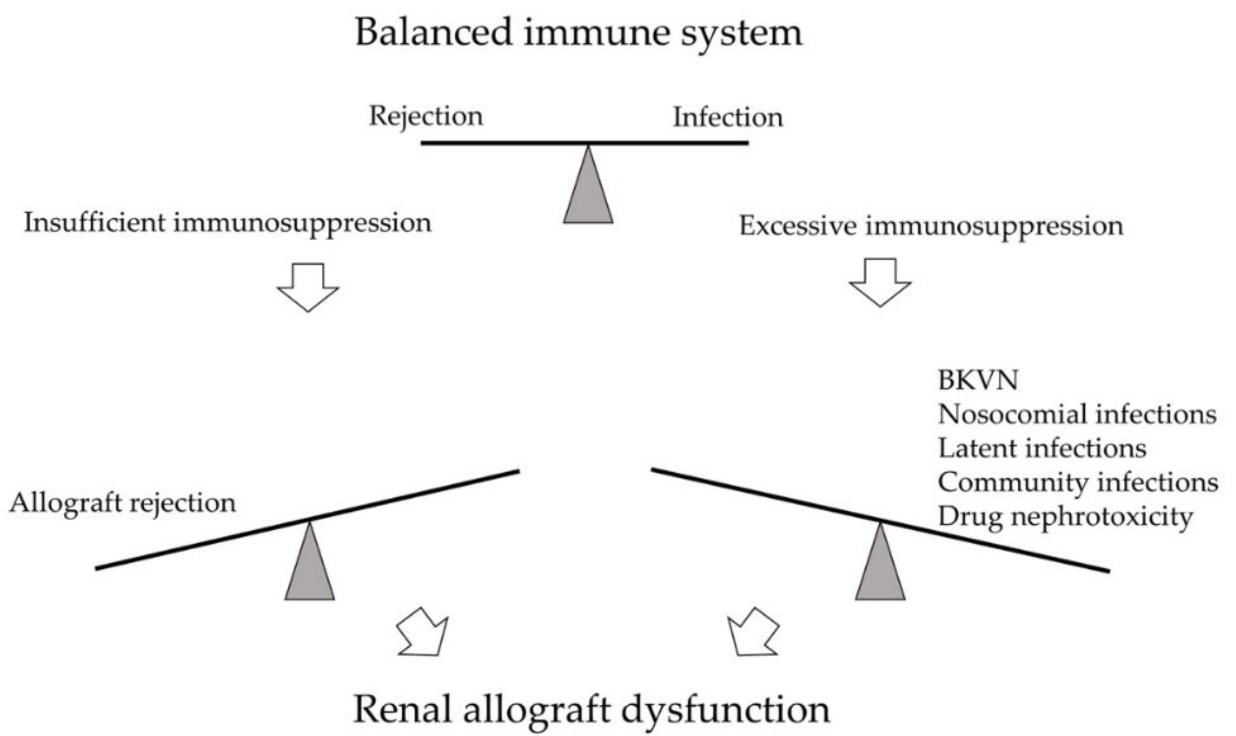 Viruses 13 00487 g001