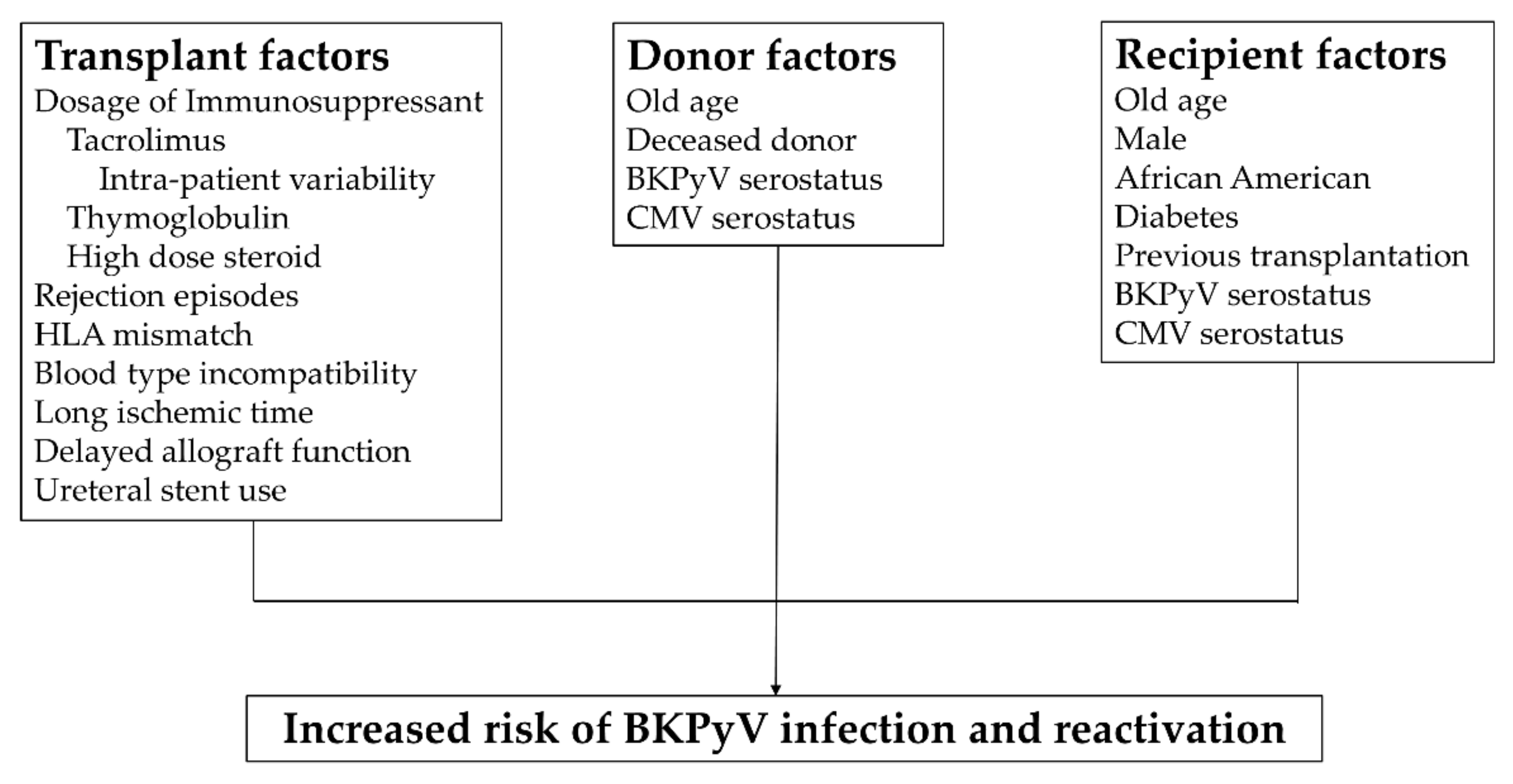 Viruses 13 00487 g002