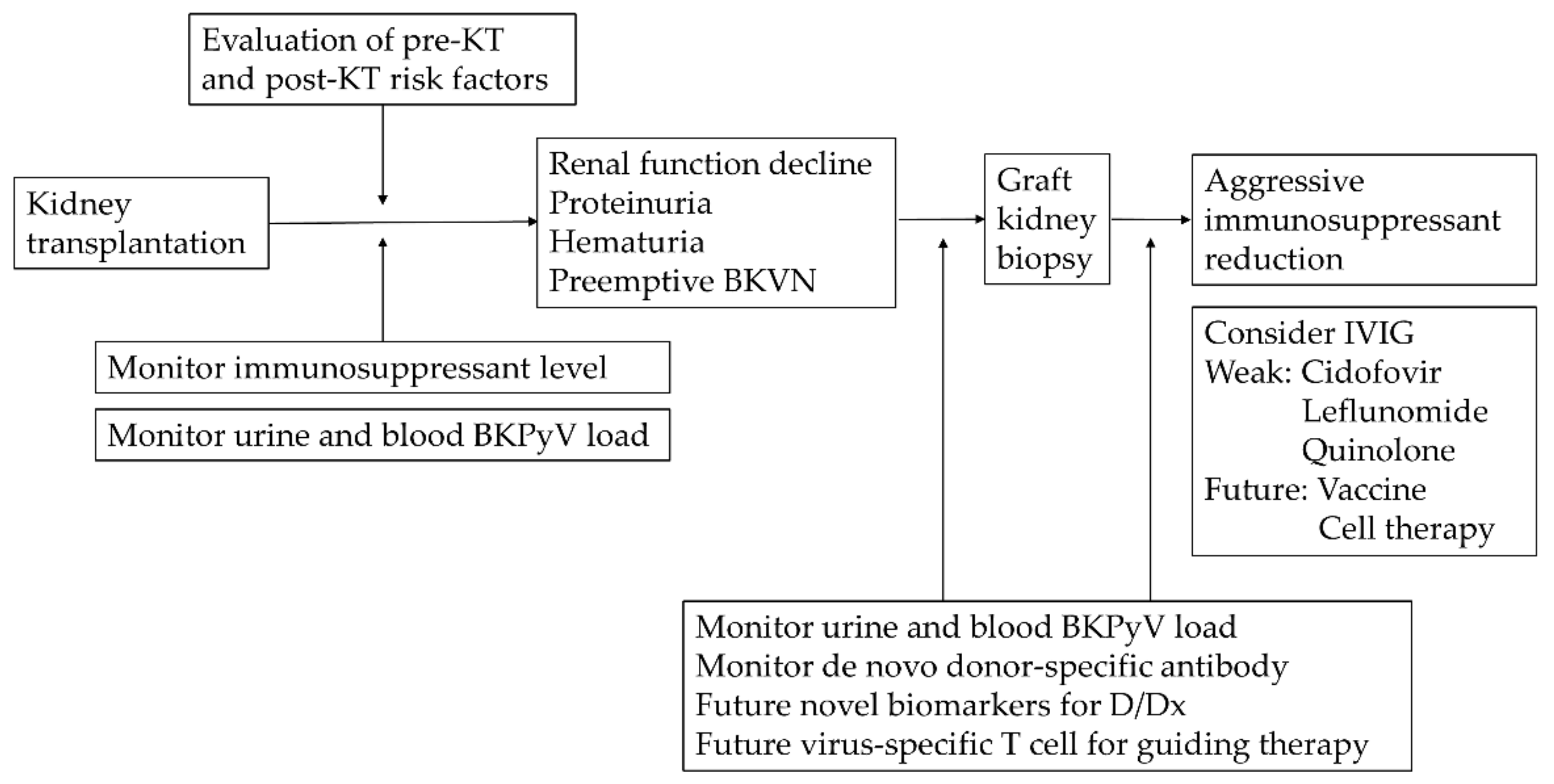 Viruses 13 00487 g003