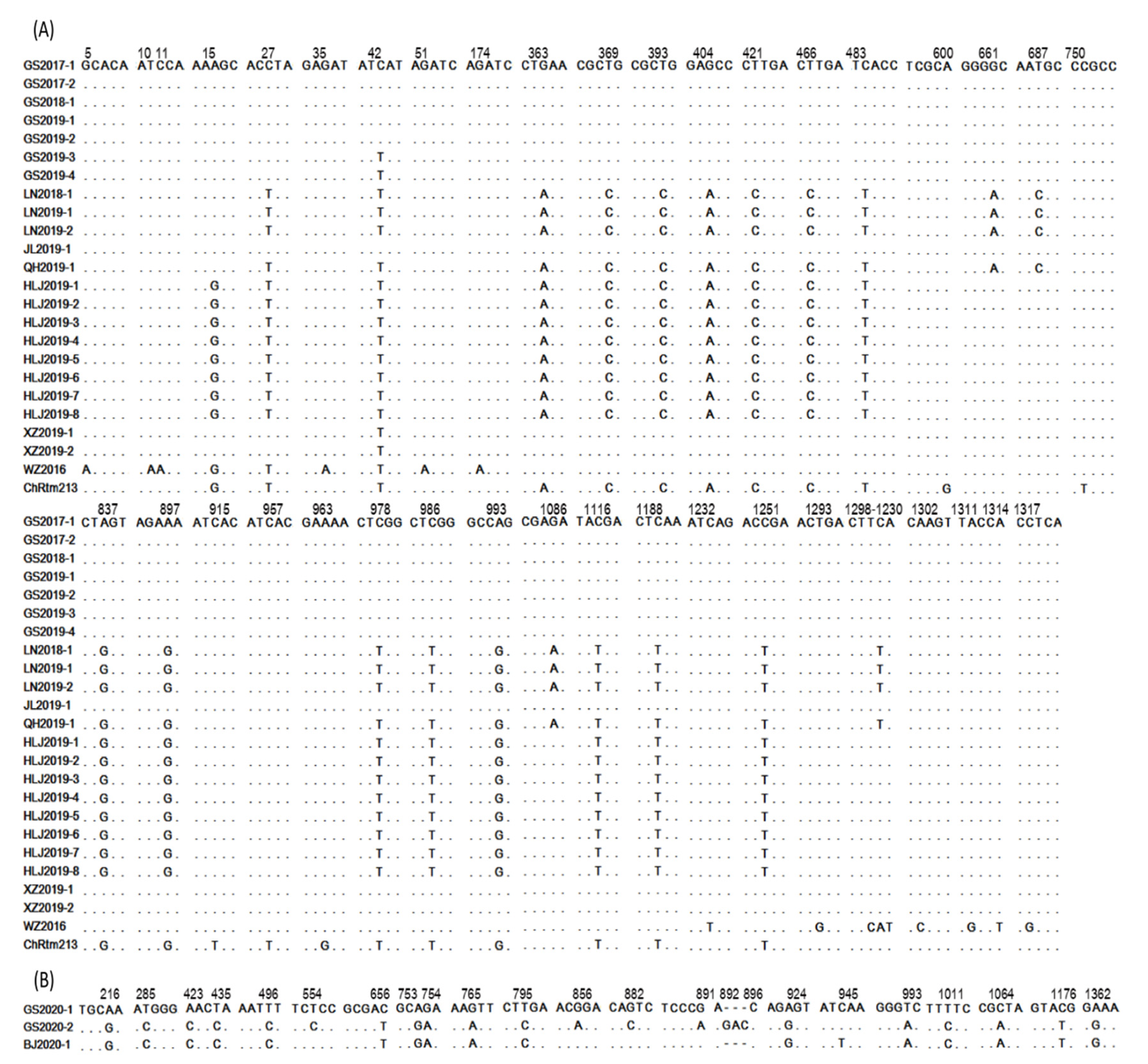 Viruses 13 00488 g002