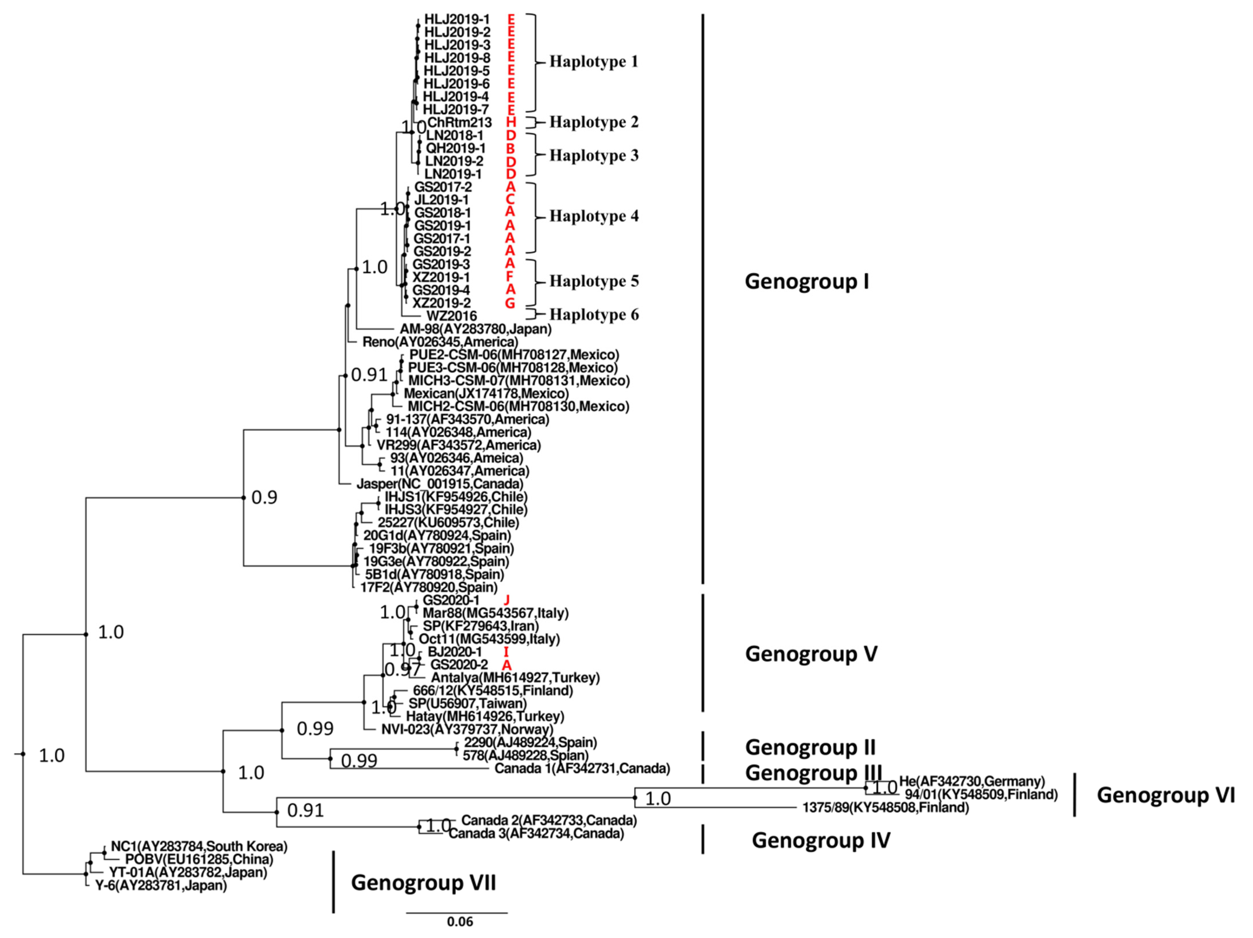 Viruses 13 00488 g003