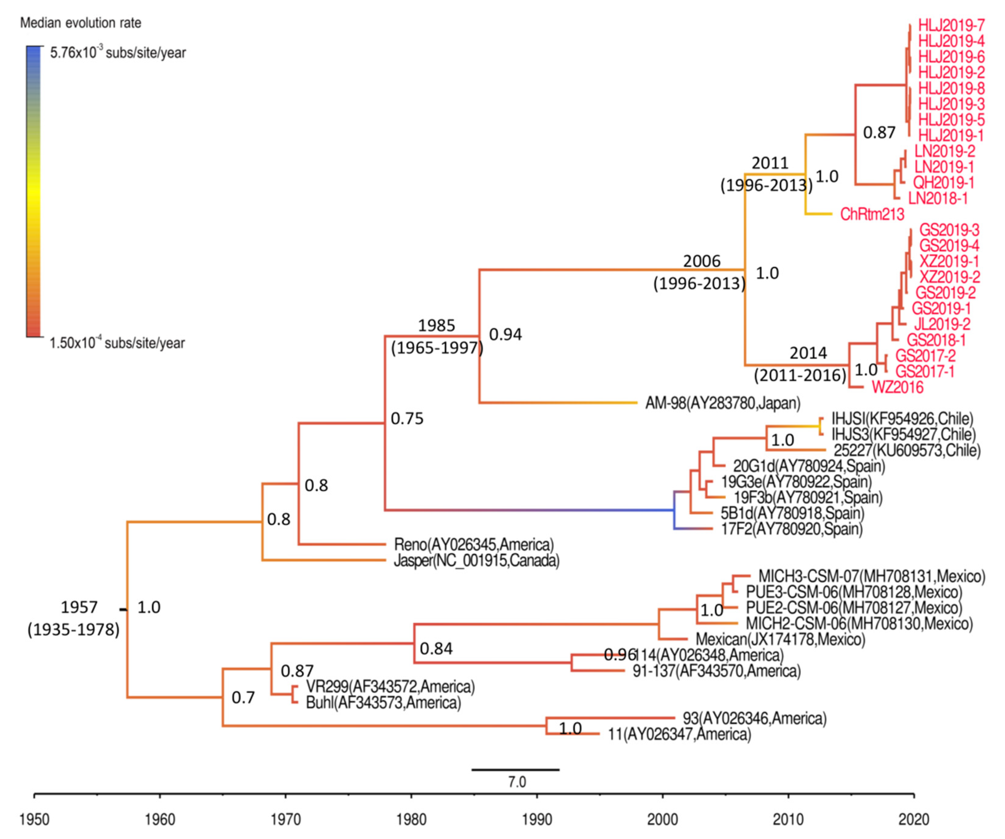 Viruses 13 00488 g004