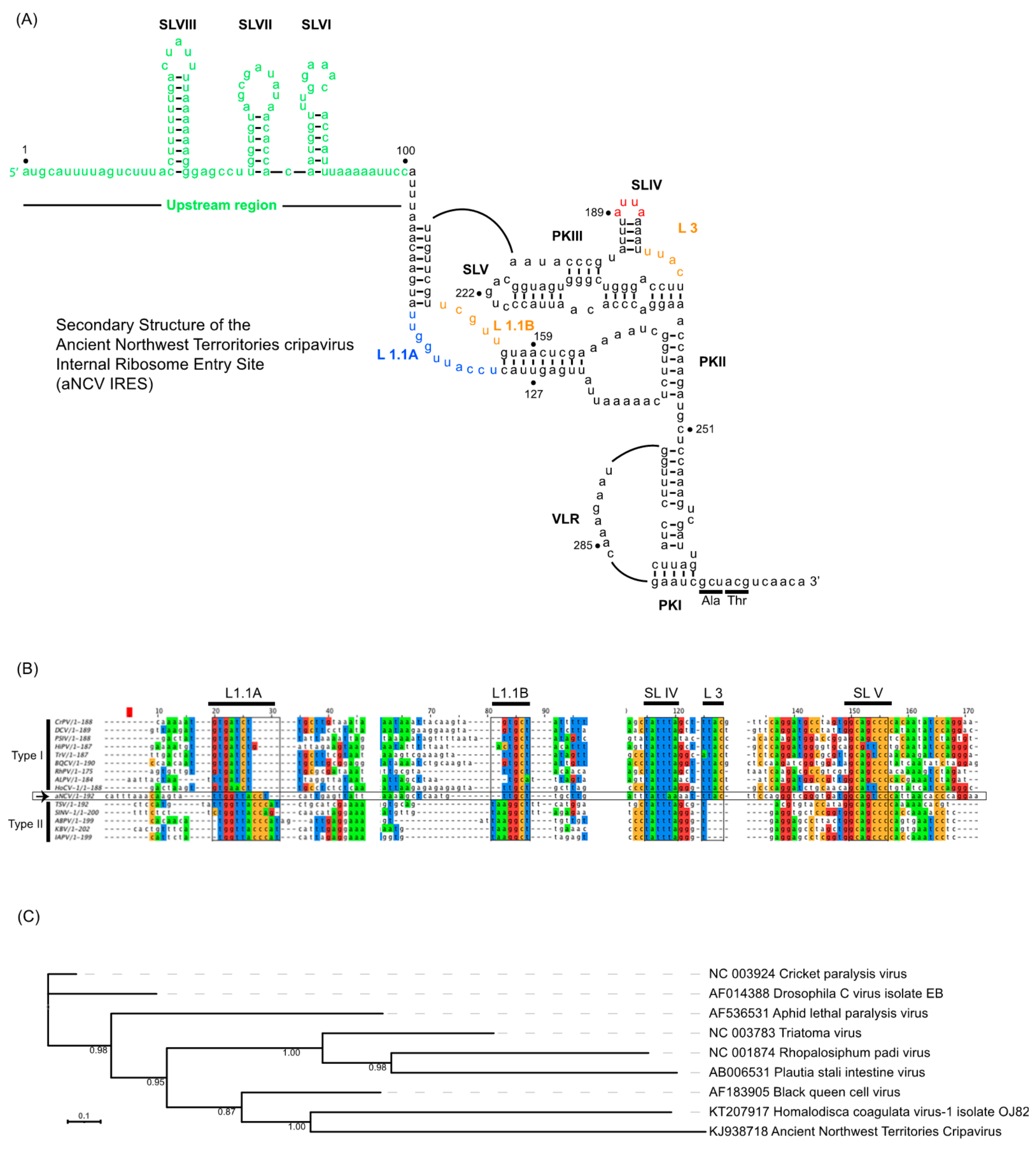 Viruses 13 00493 g001