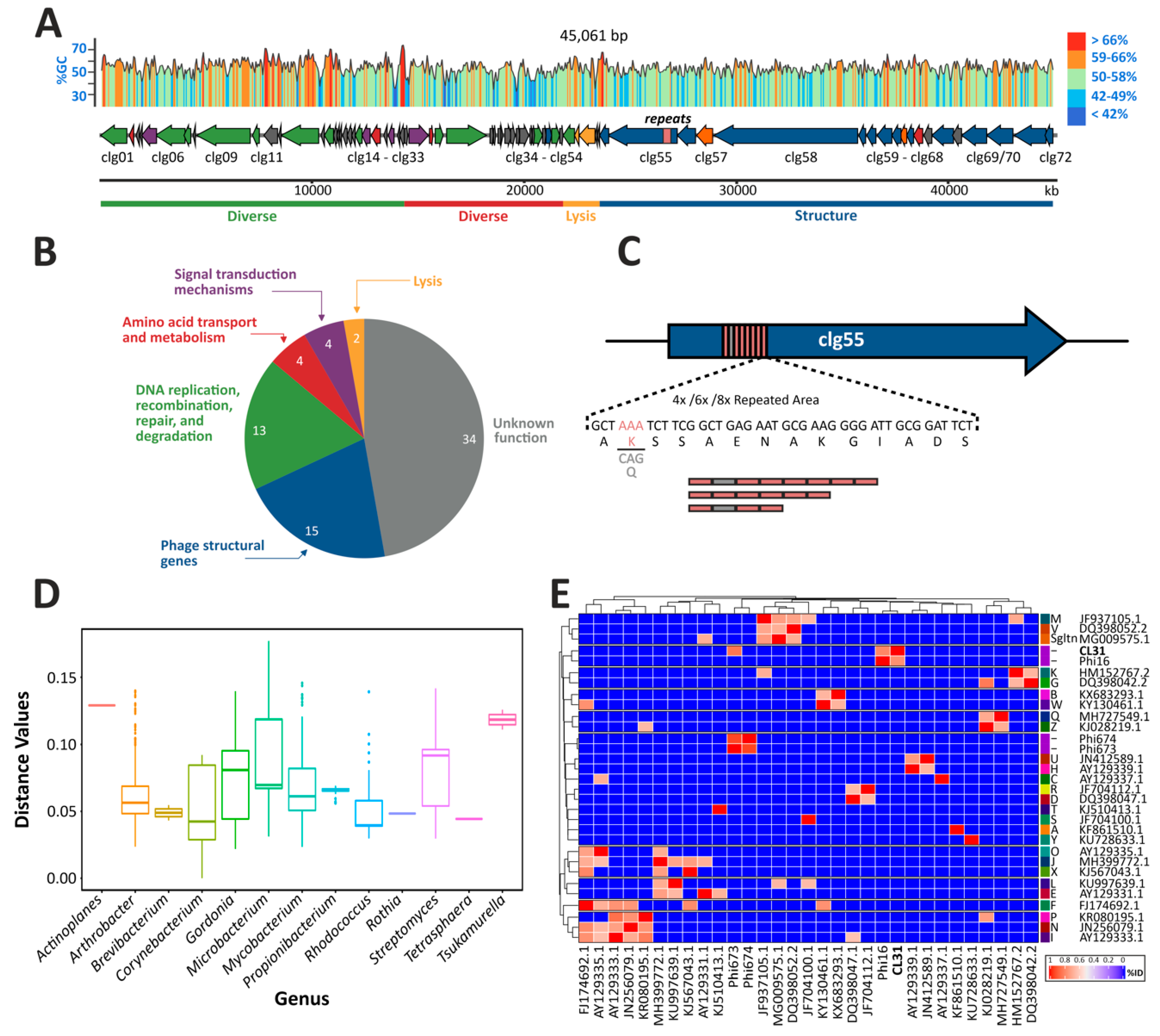 Viruses 13 00495 g001 Viruses 13 00495 g001