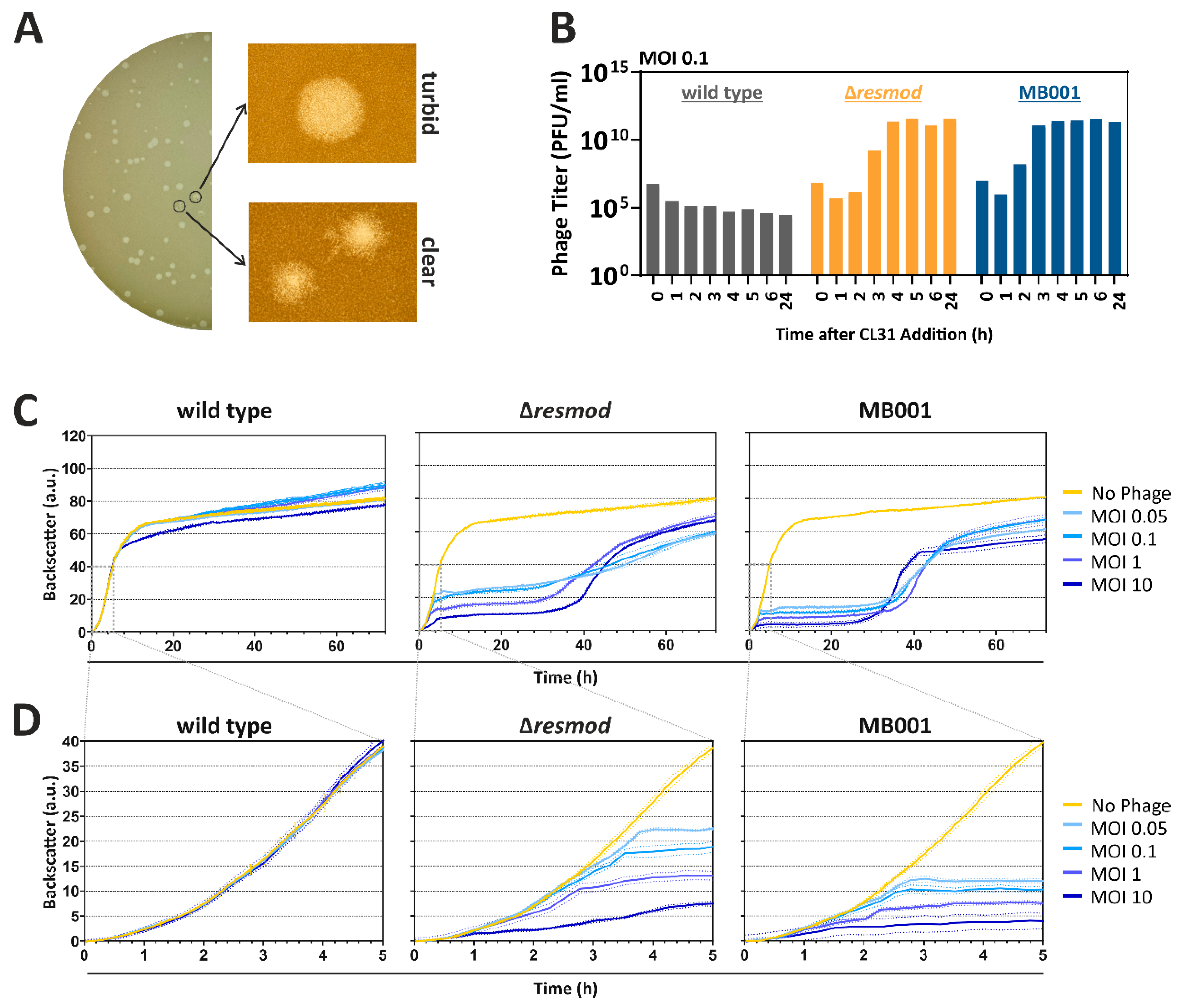 Viruses 13 00495 g002 Viruses 13 00495 g002