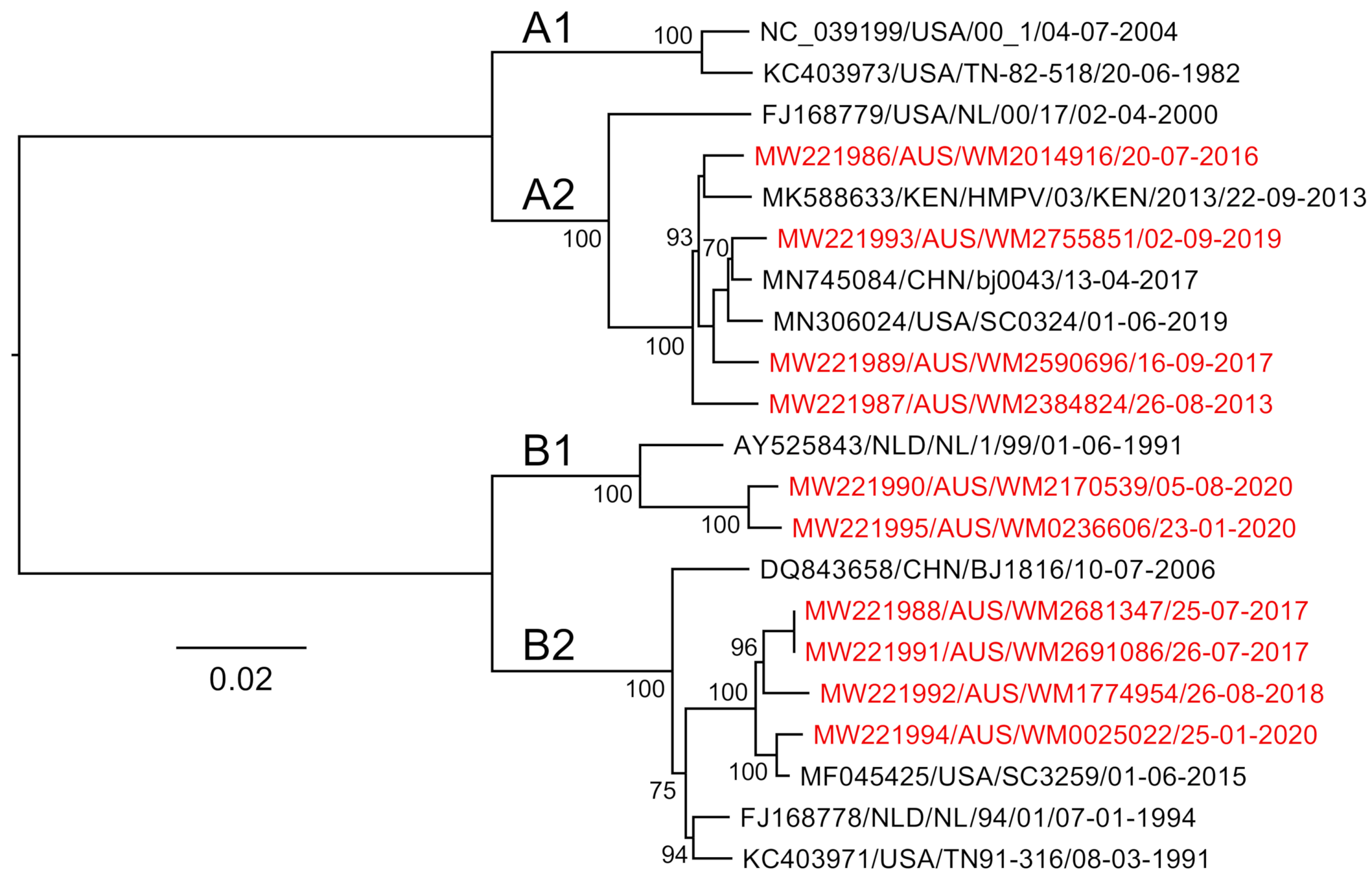 Viruses 13 00499 g005
