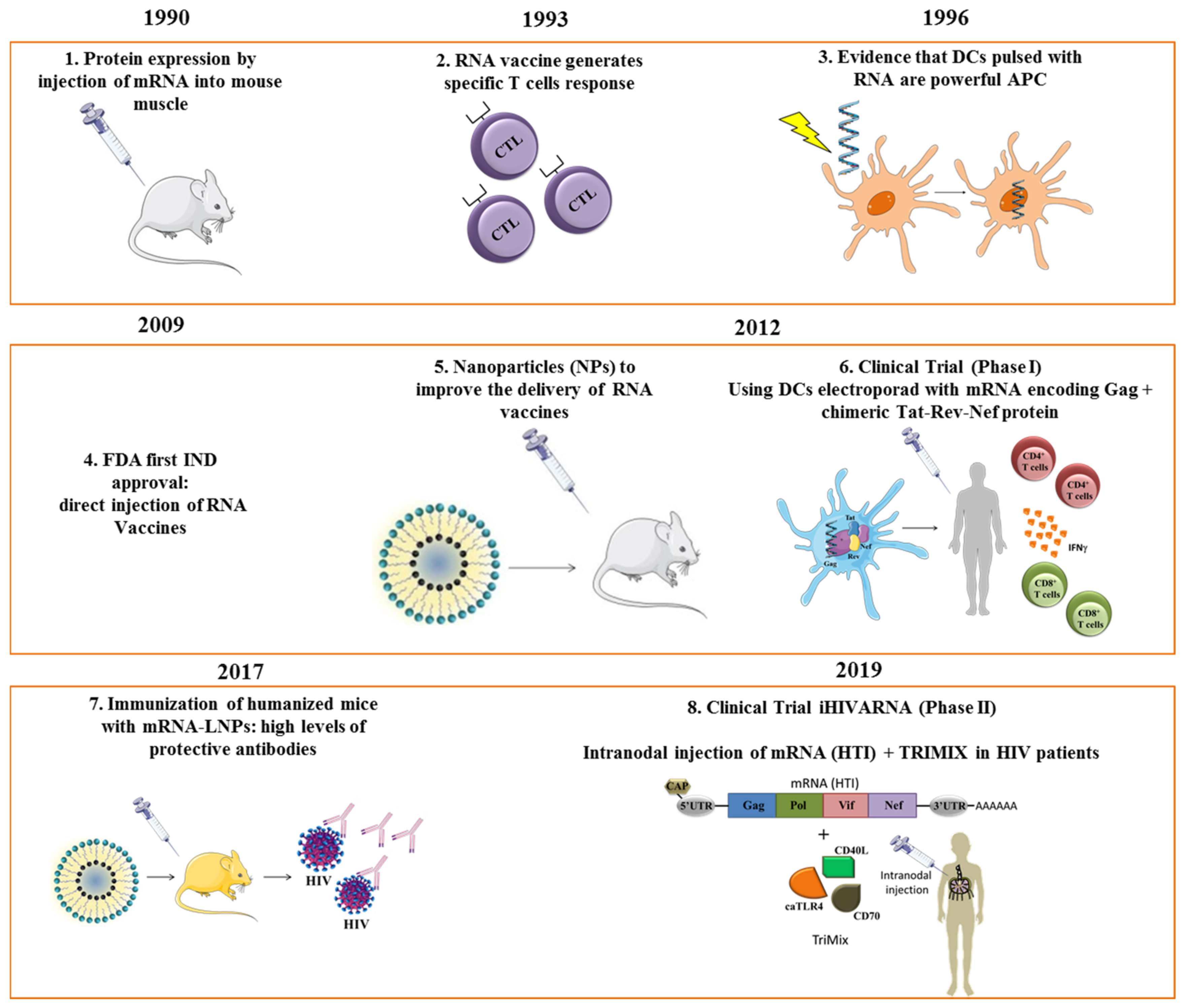 Viruses 13 00501 g001