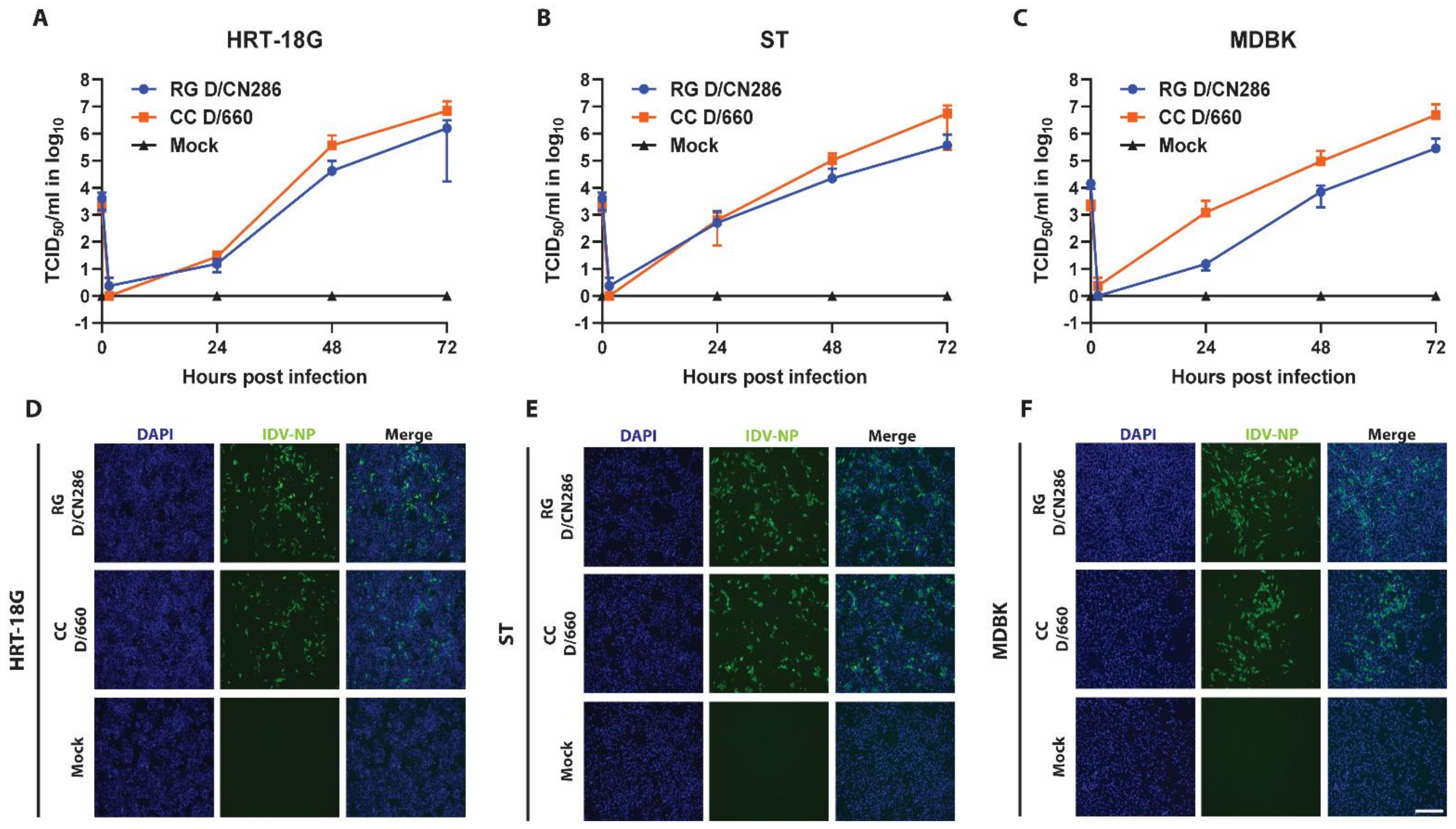 Viruses 13 00502 g004