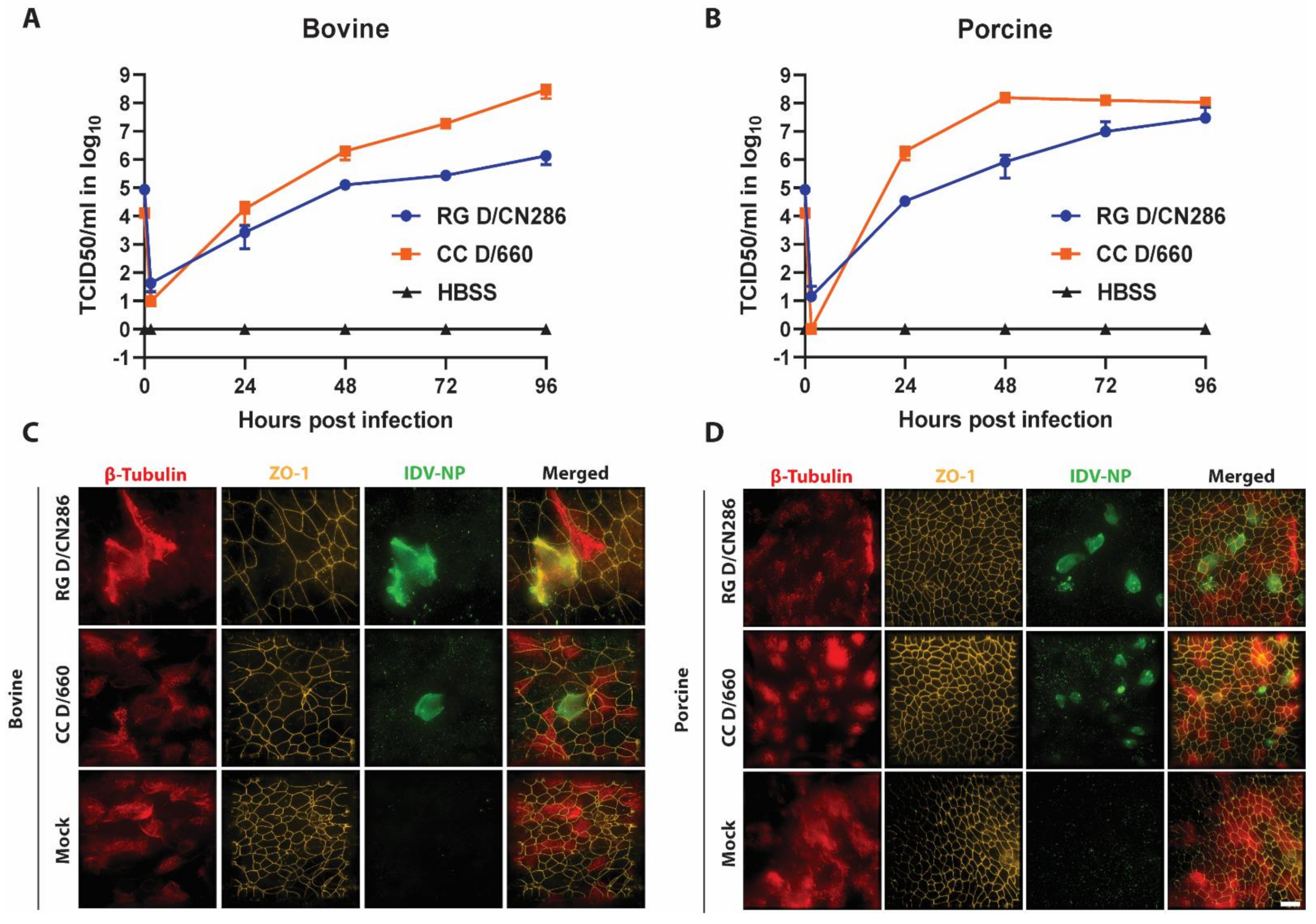 Viruses 13 00502 g005