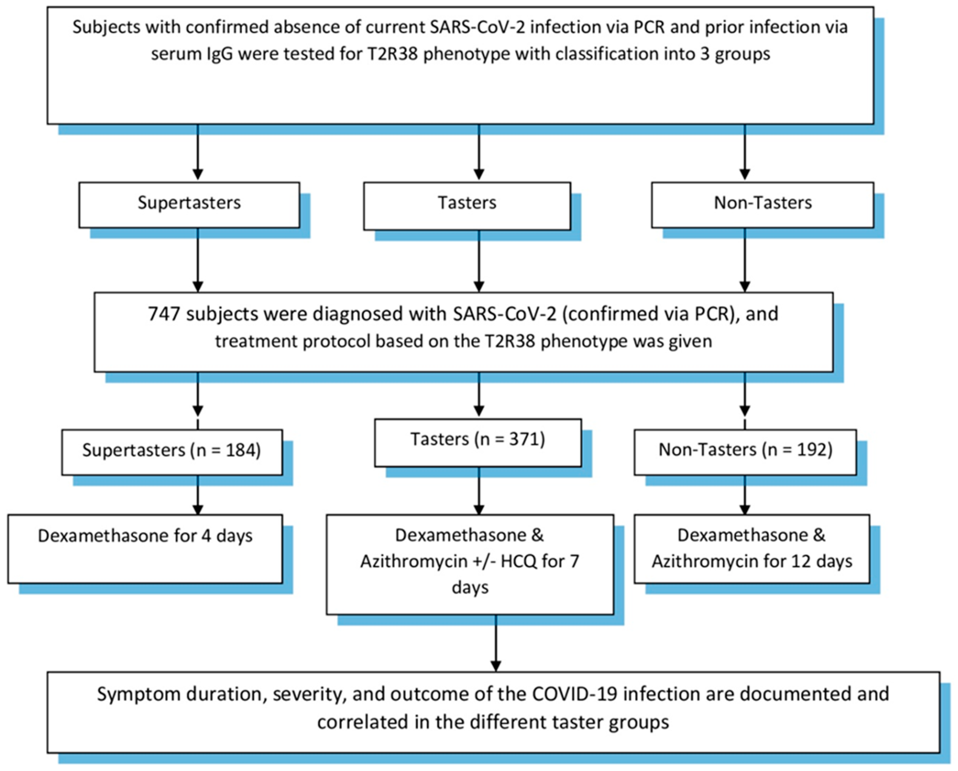 Viruses 13 00503 g001