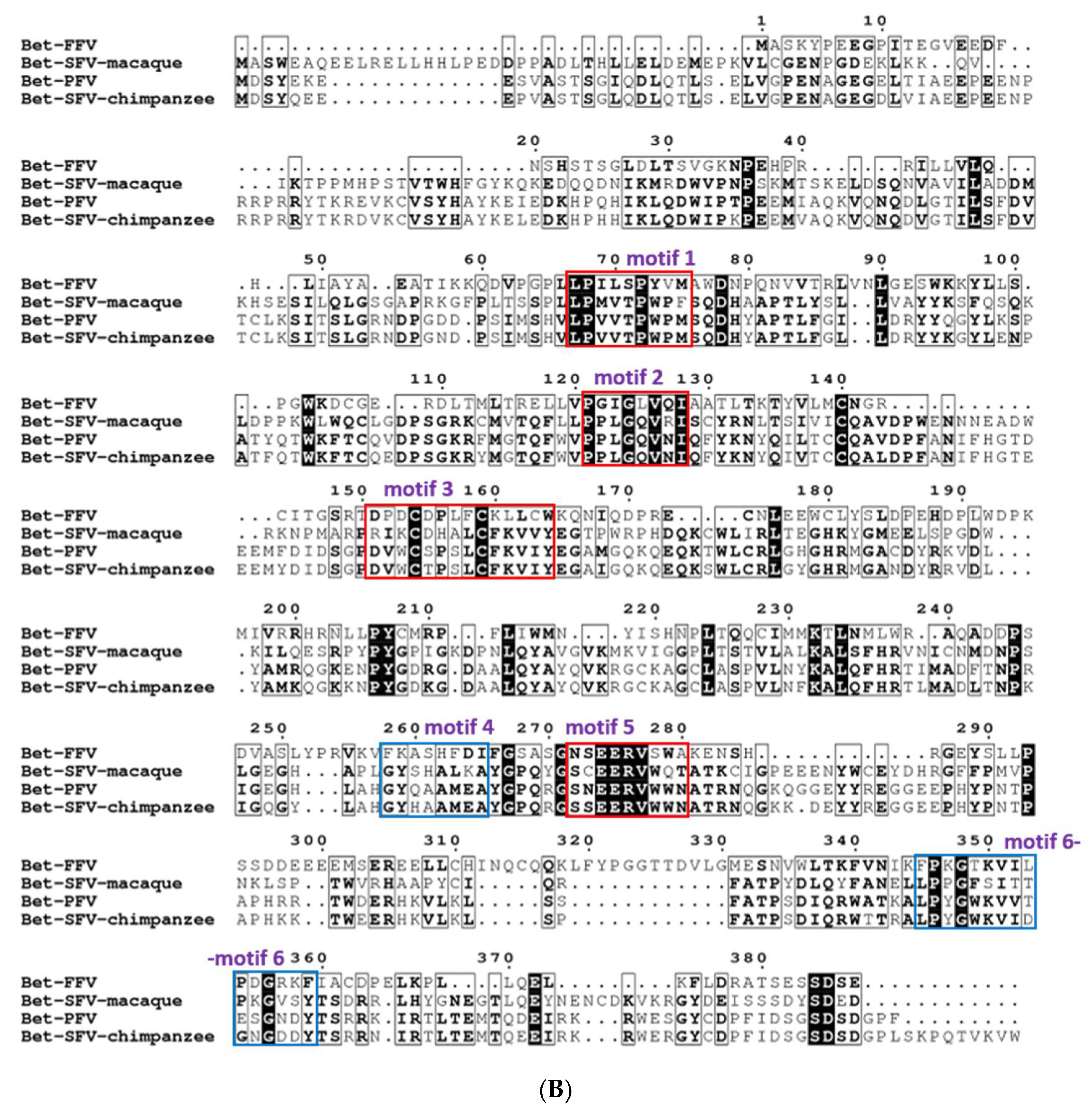 Viruses 13 00504 g002b