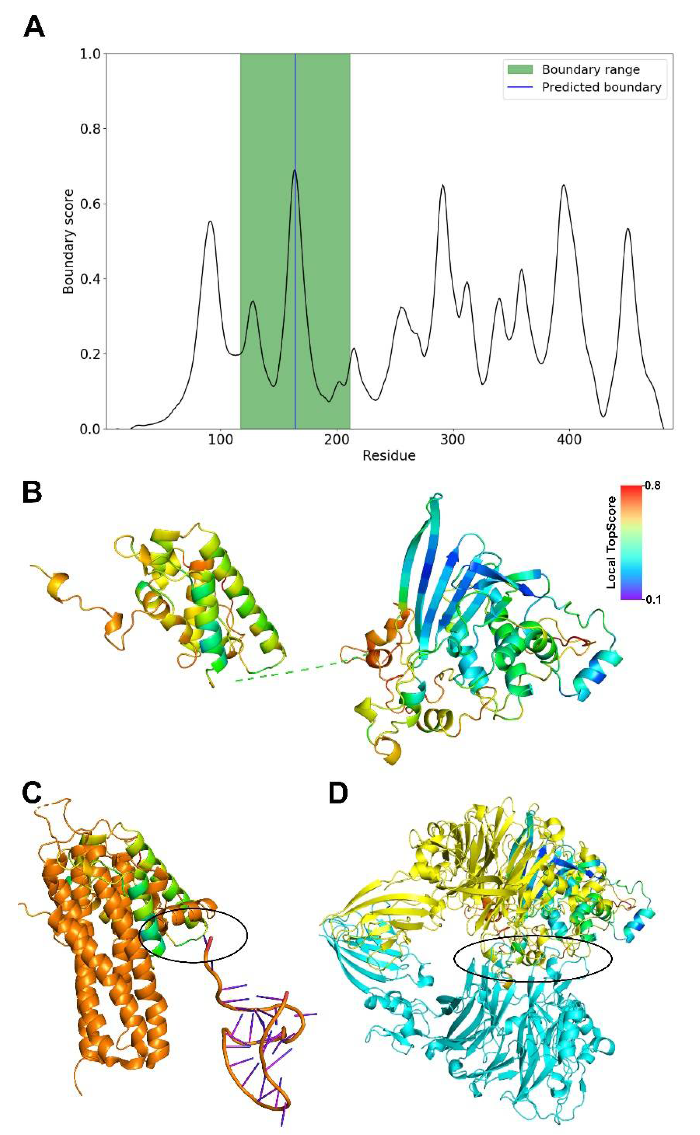 Viruses 13 00504 g003