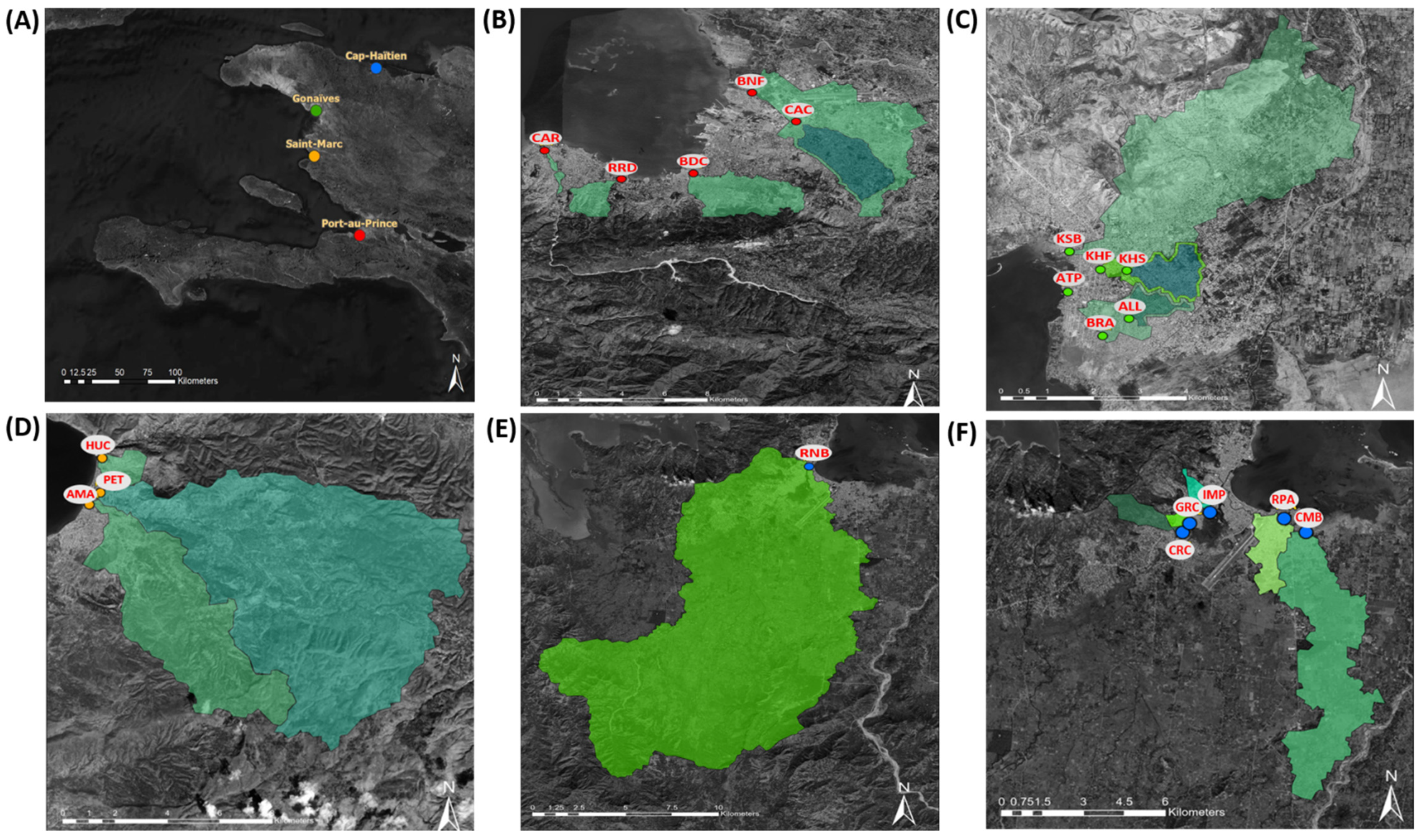 Viruses 13 00505 g001