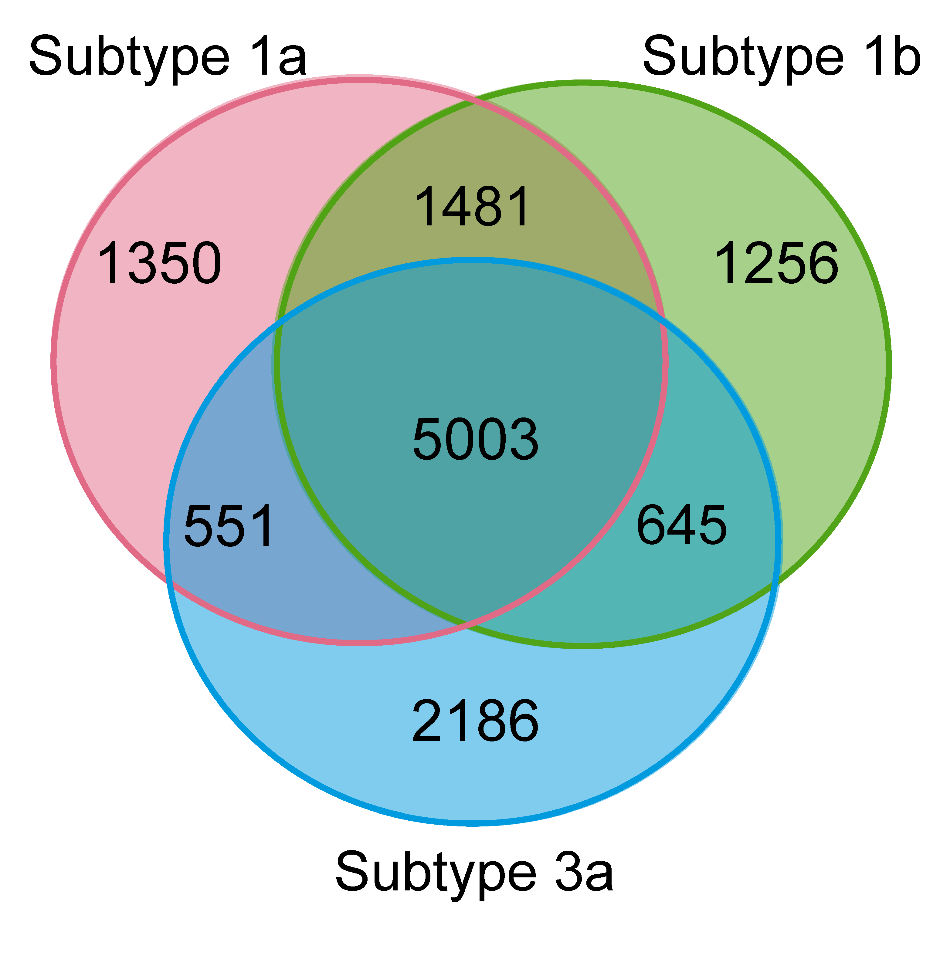 Viruses 13 00511 g004 Viruses 13 00511 g004