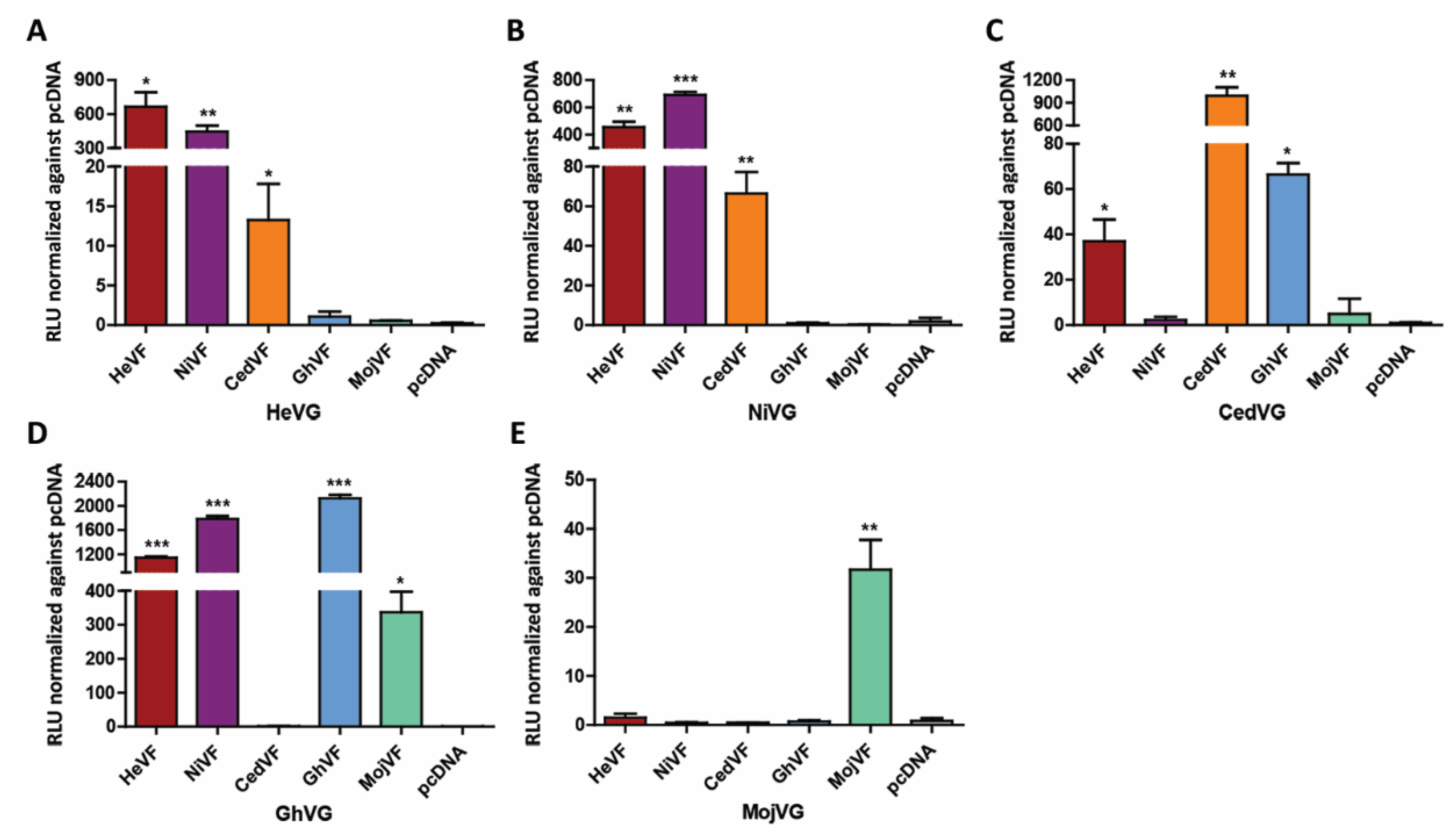 Viruses 13 00517 g008