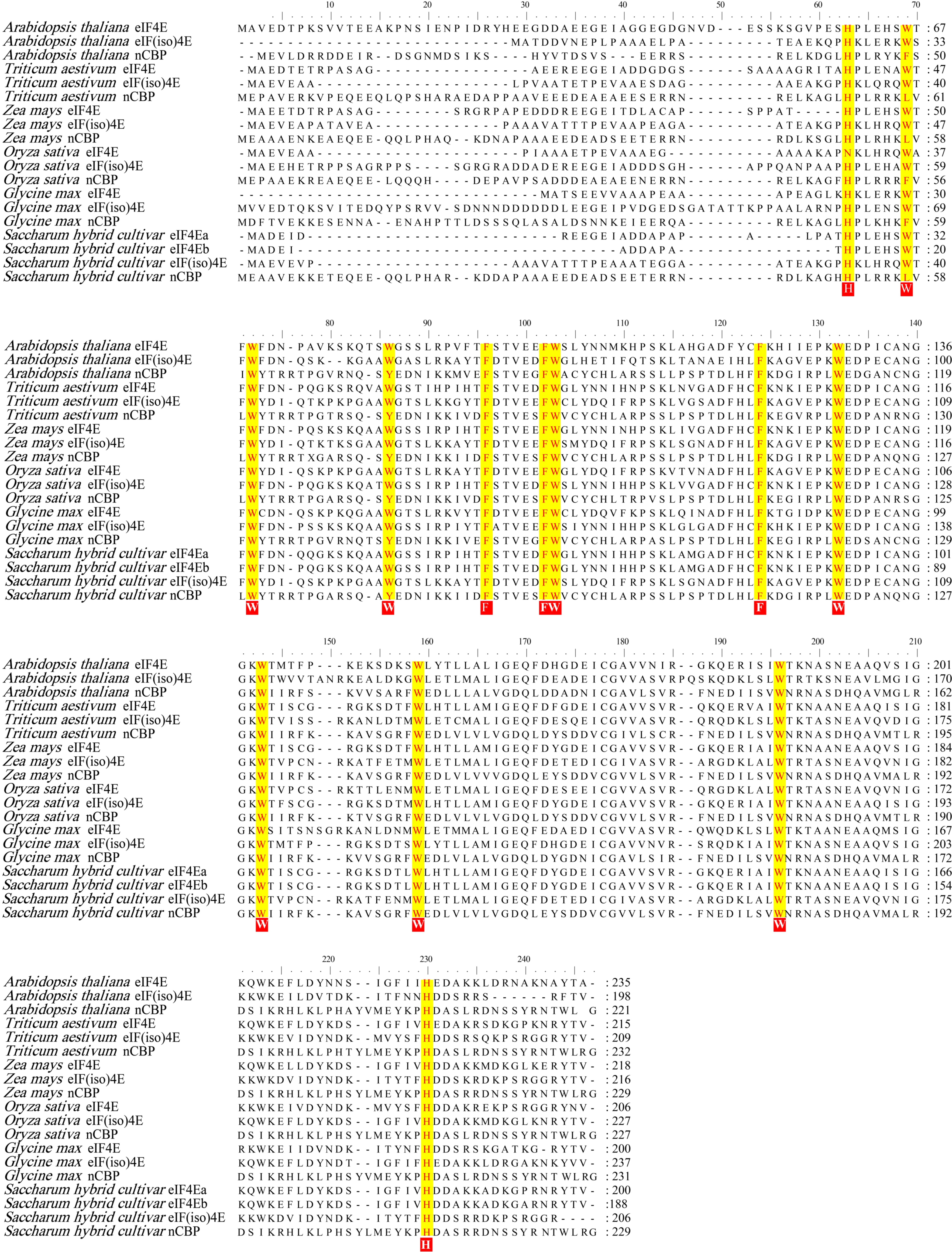 Viruses 13 00518 g001