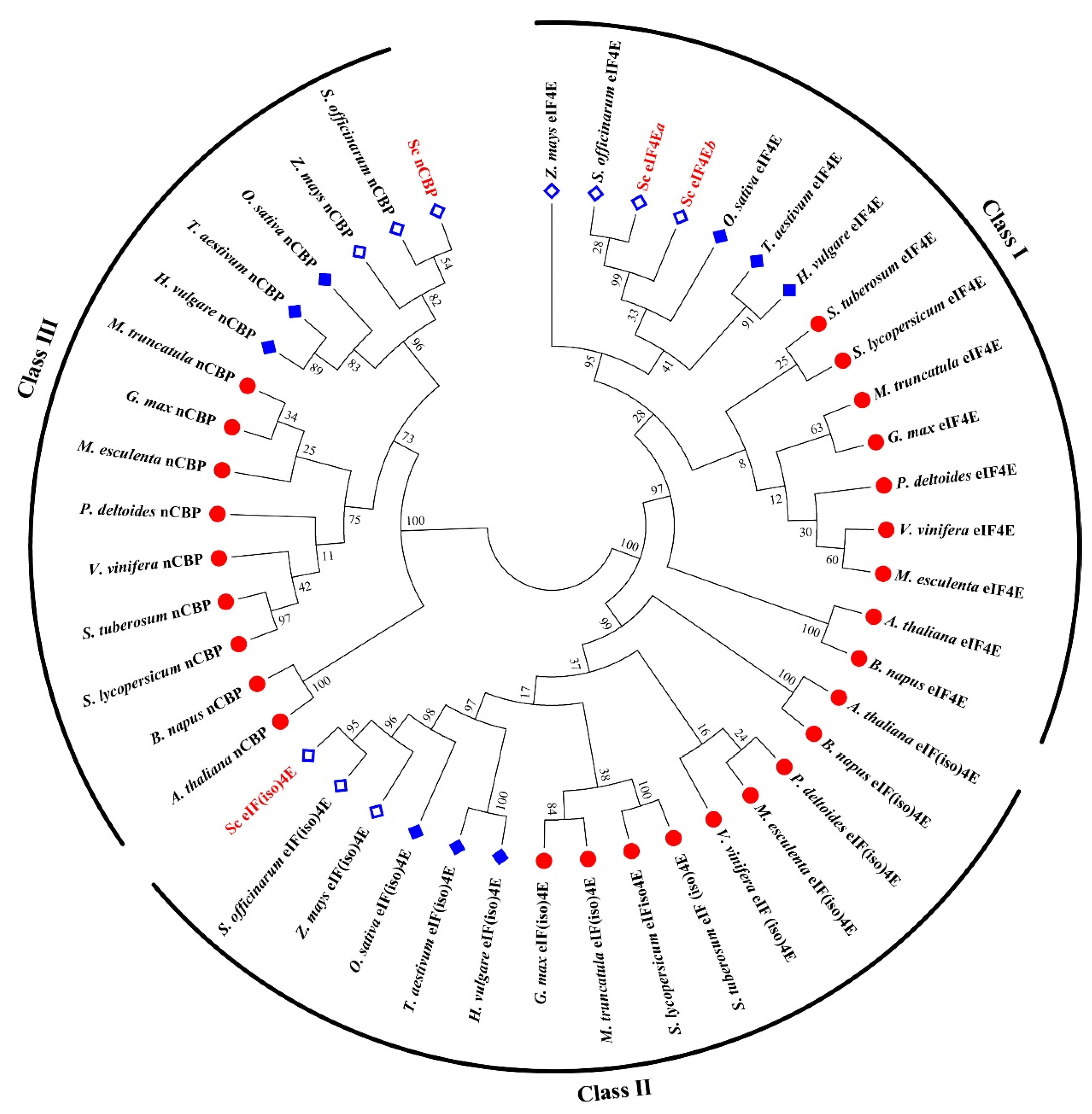 Viruses 13 00518 g002