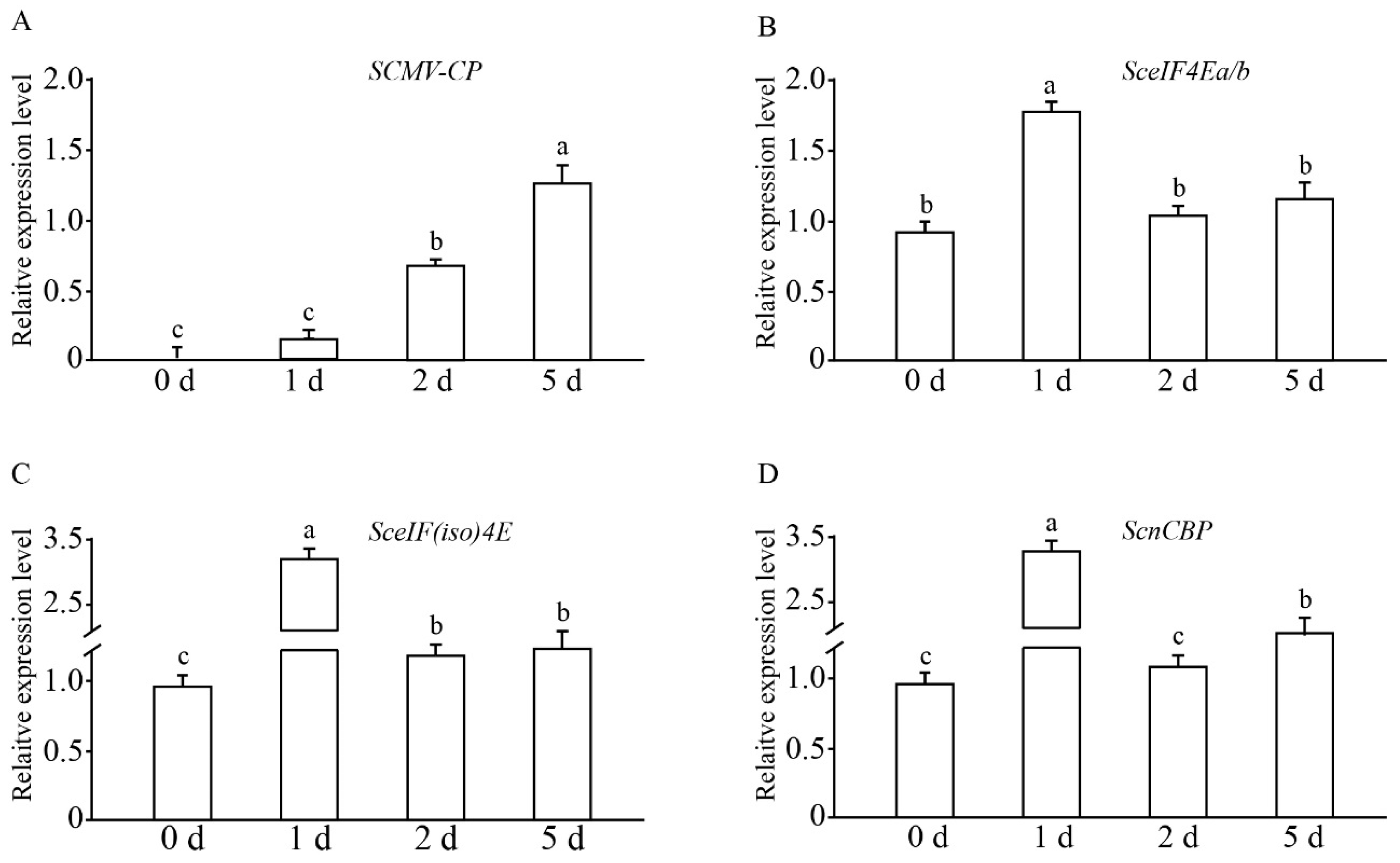 Viruses 13 00518 g003