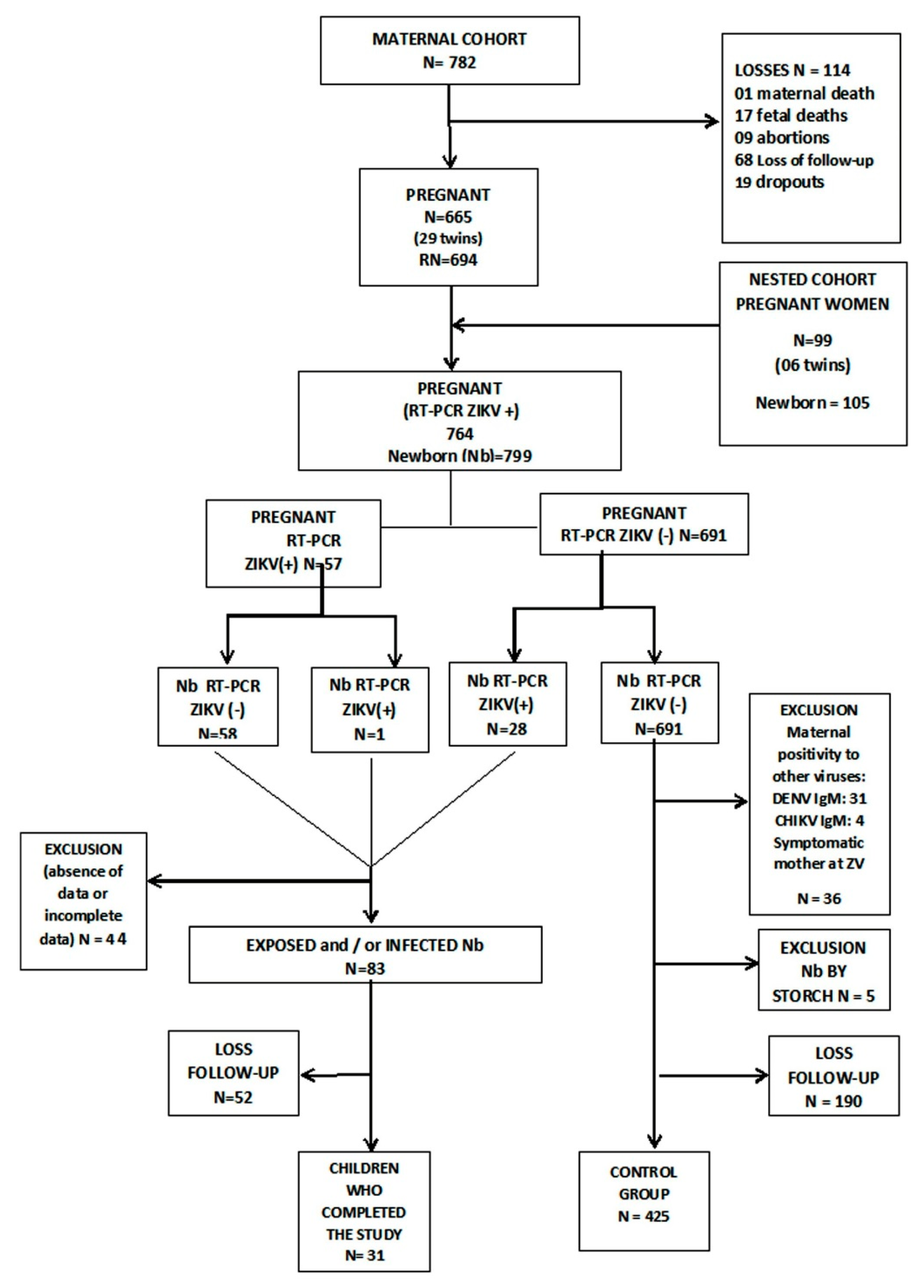 Viruses 13 00523 g001