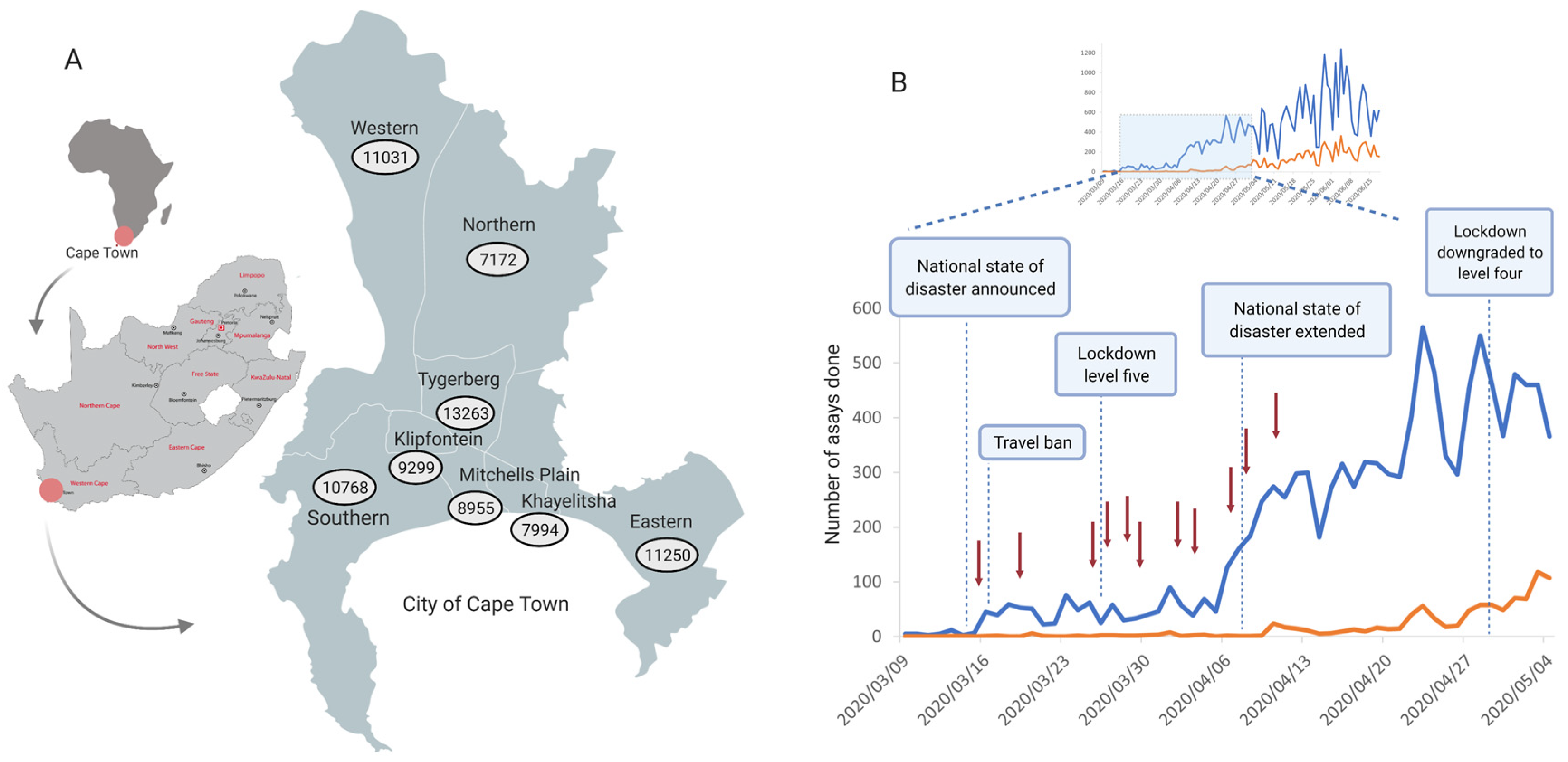 Viruses 13 00526 g001