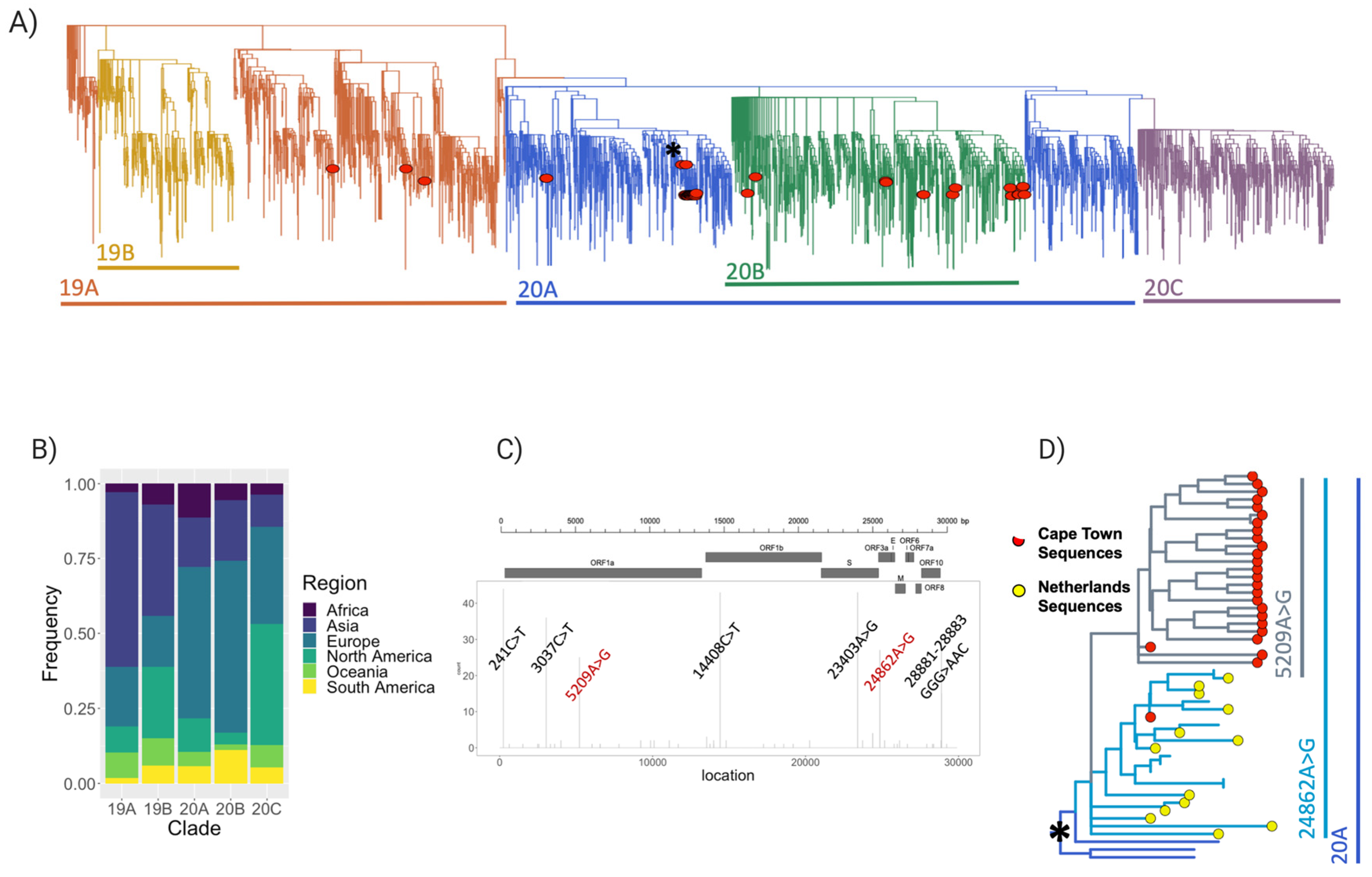 Viruses 13 00526 g003