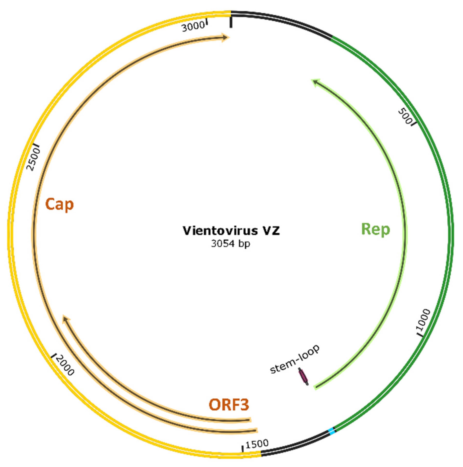 Viruses 13 00533 g001