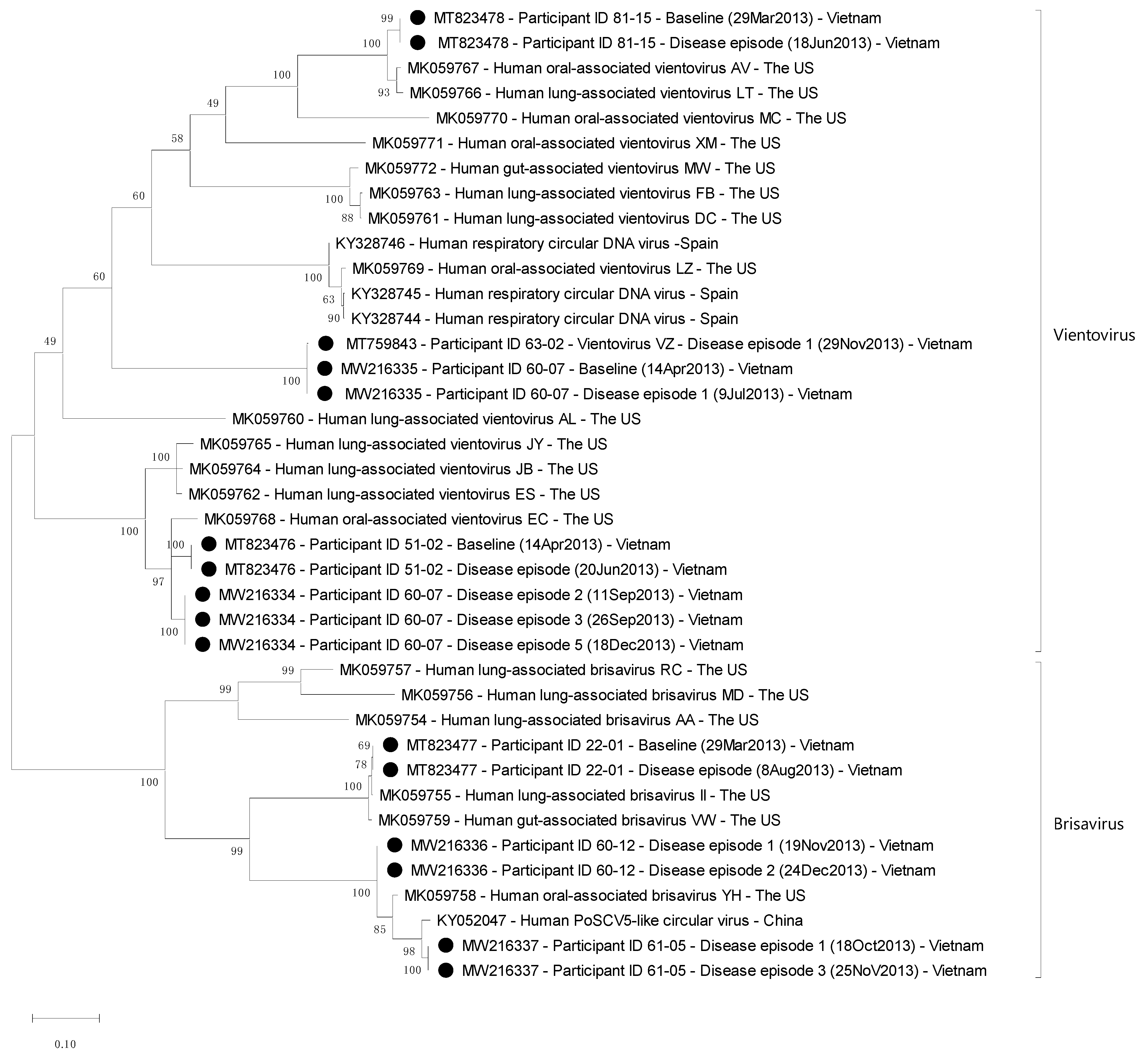 Viruses 13 00533 g002