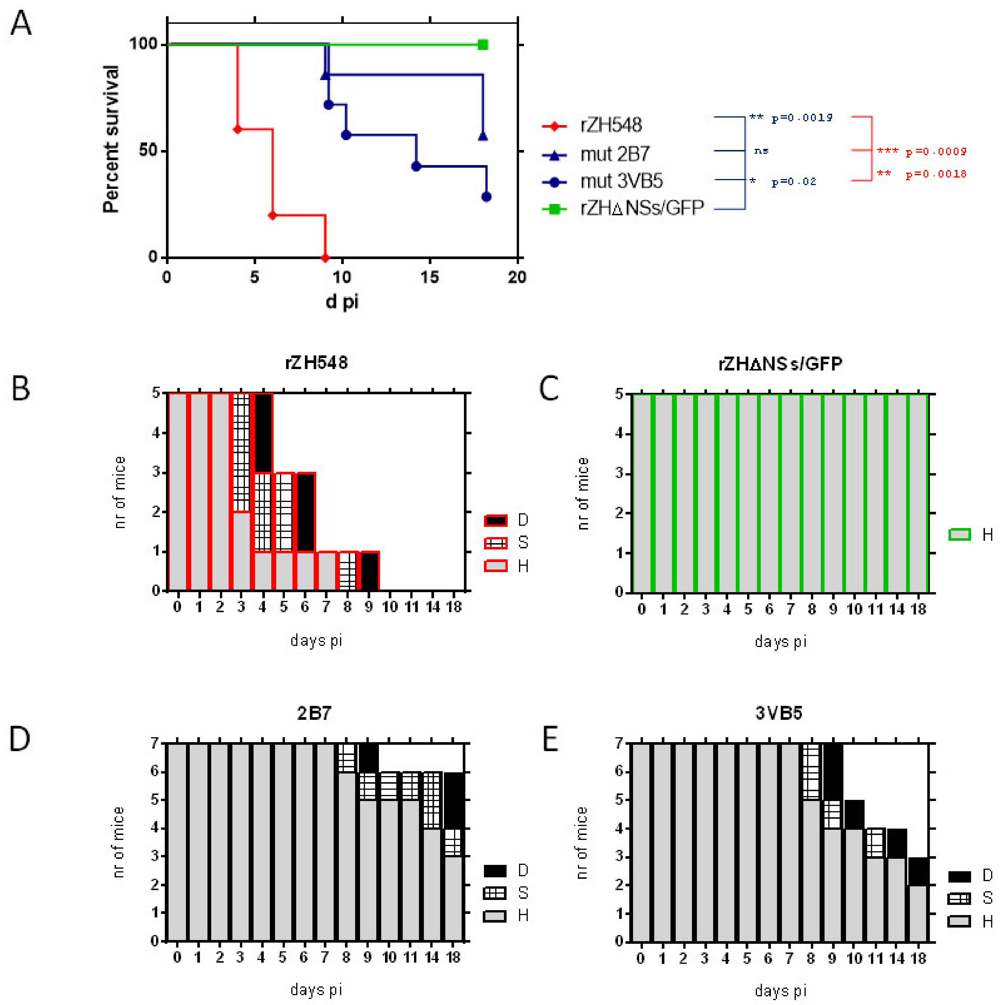 Viruses 13 00542 g001