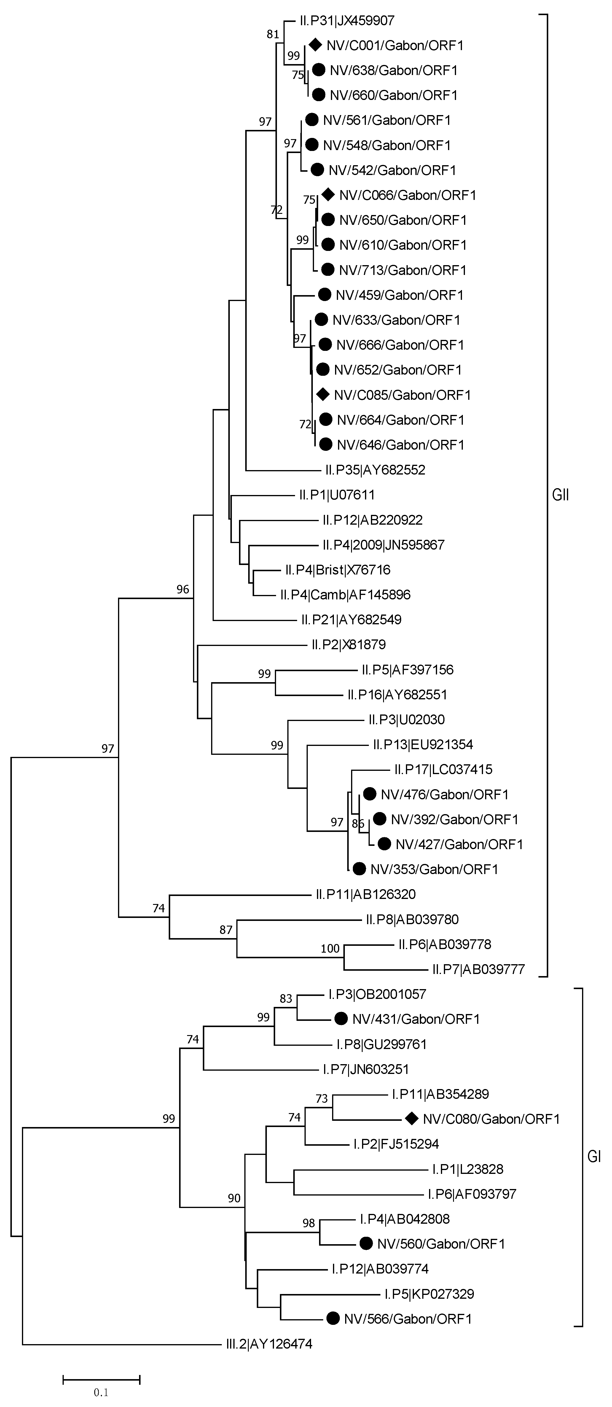 Viruses 13 00545 g002