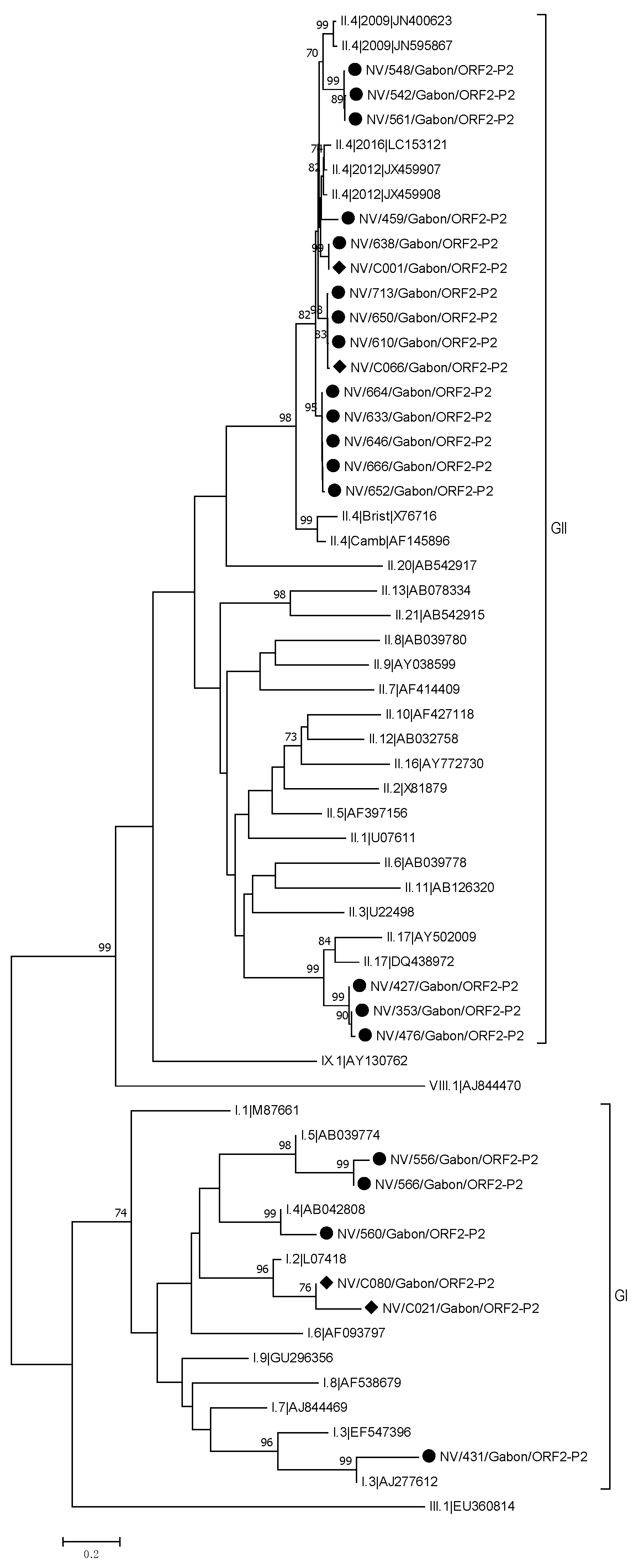Viruses 13 00545 g003