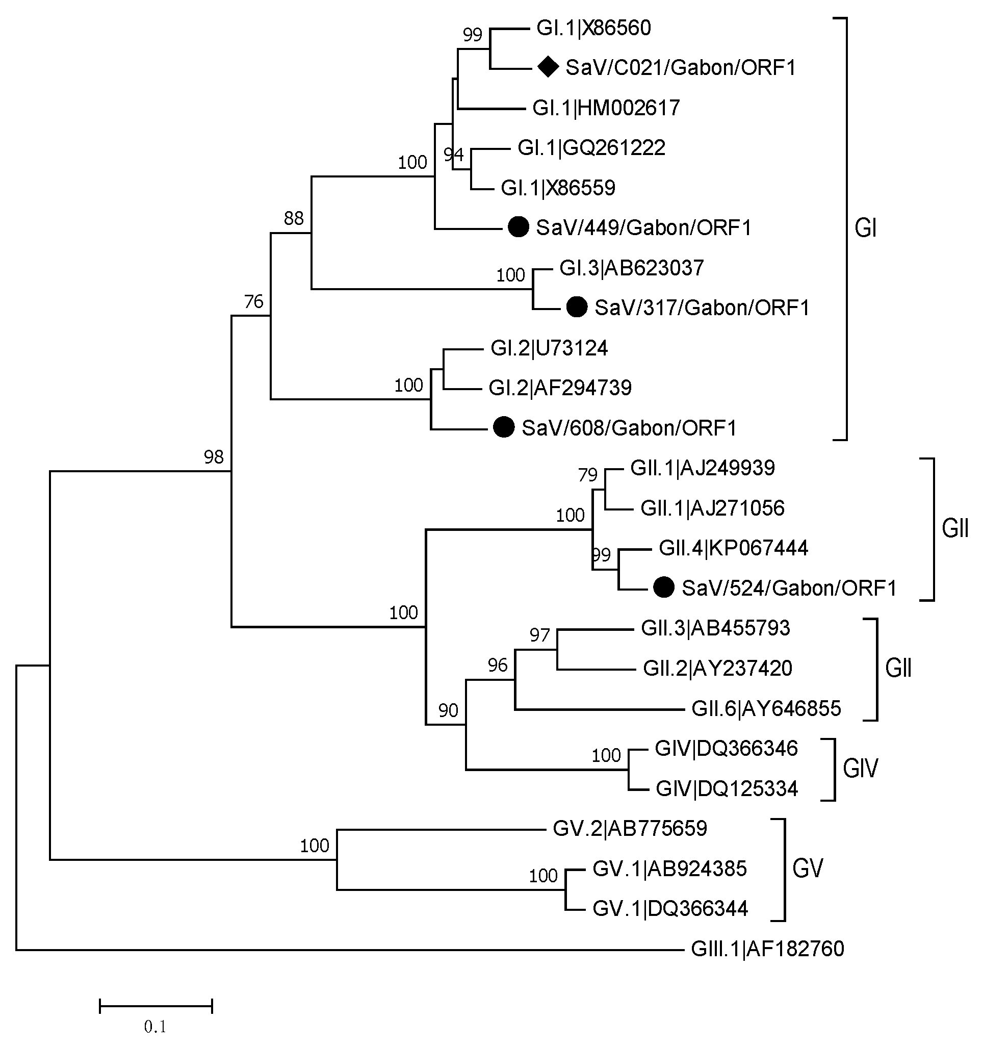 Viruses 13 00545 g005