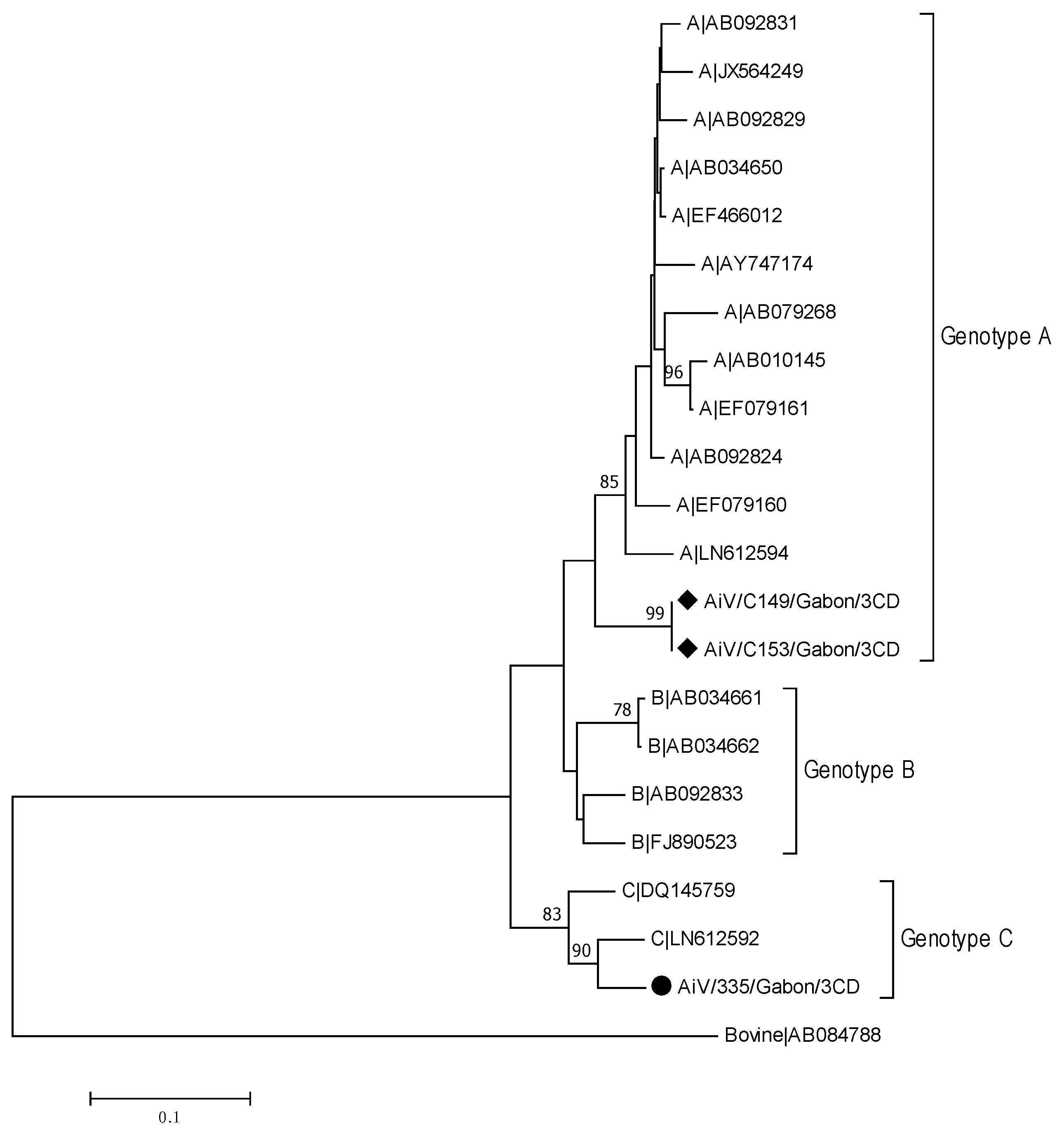 Viruses 13 00545 g006