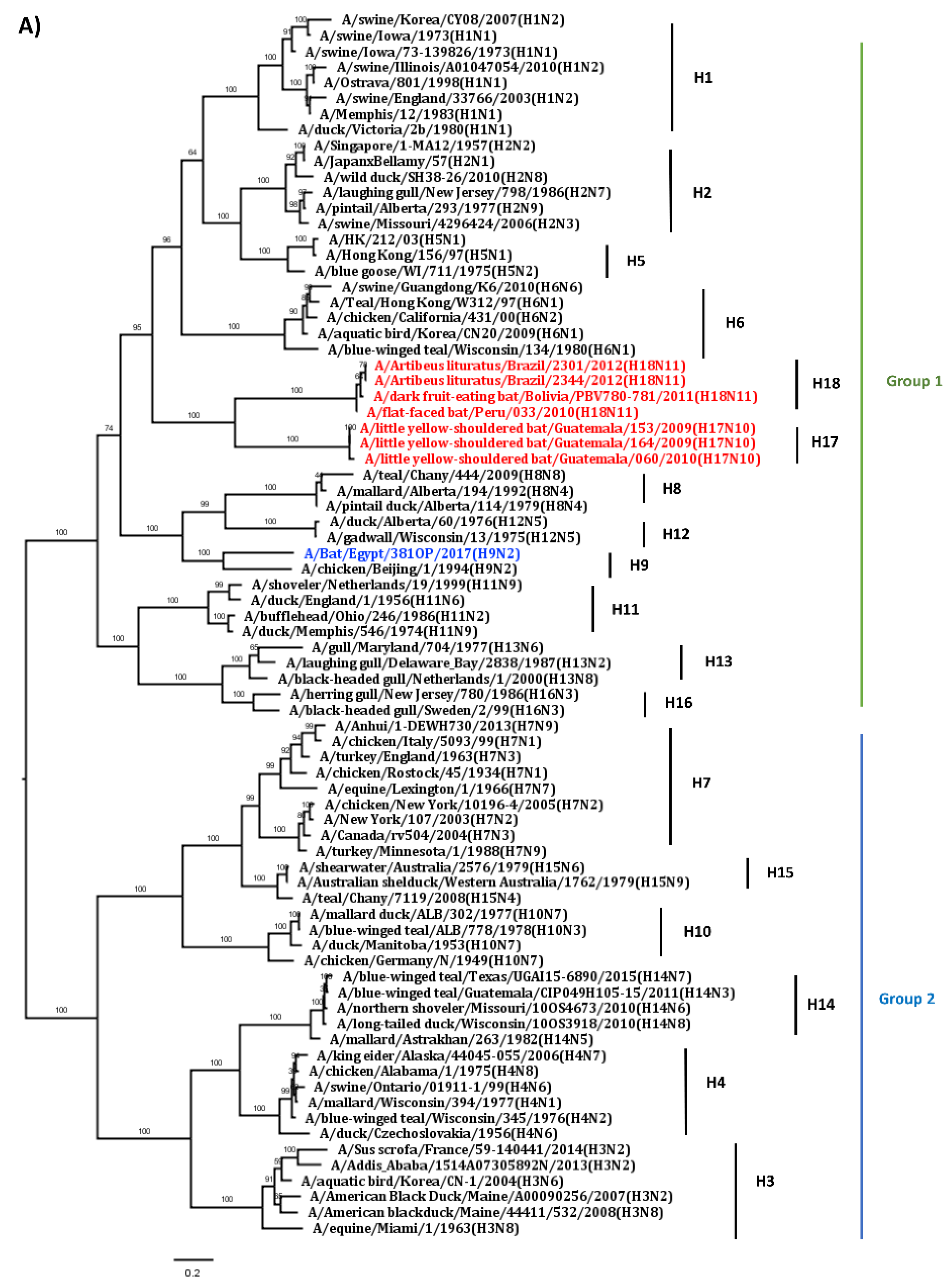 Viruses 13 00547 g001a