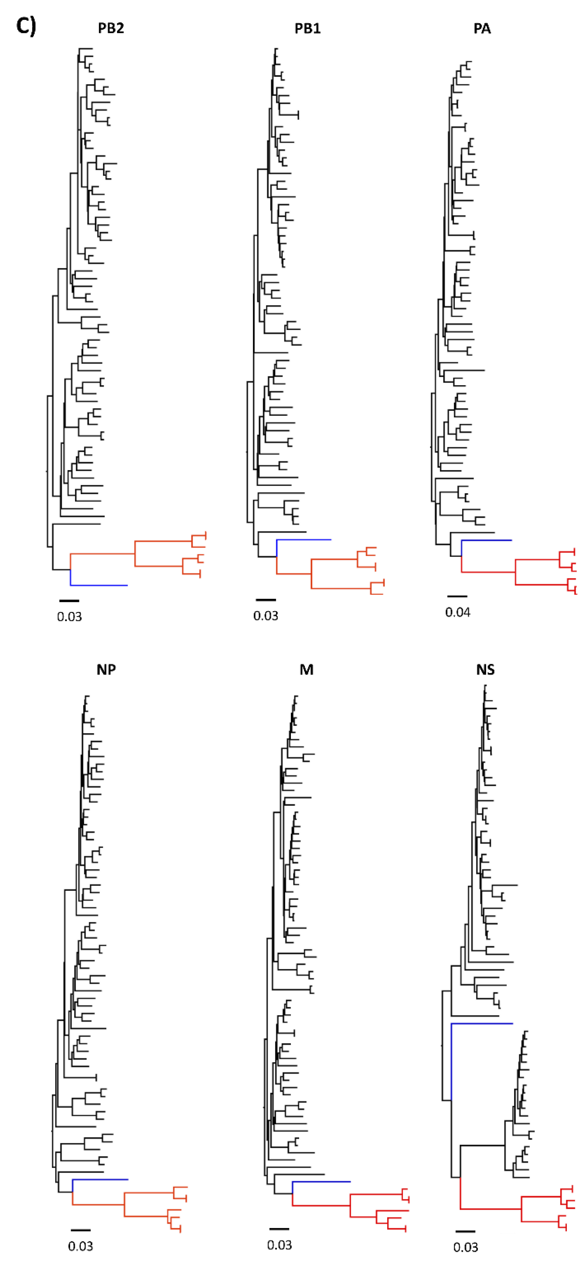 Viruses 13 00547 g001c