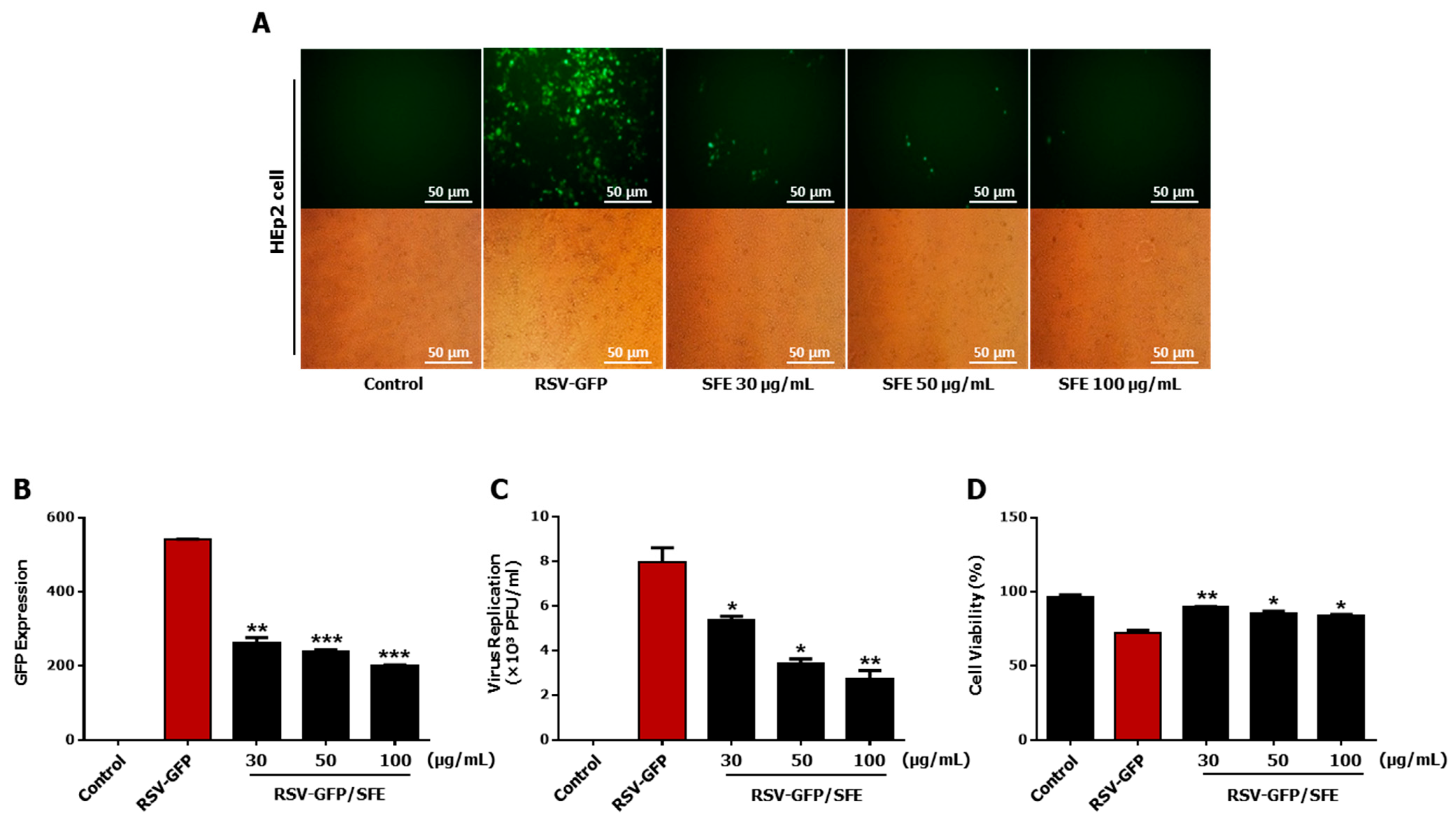 Viruses 13 00548 g001