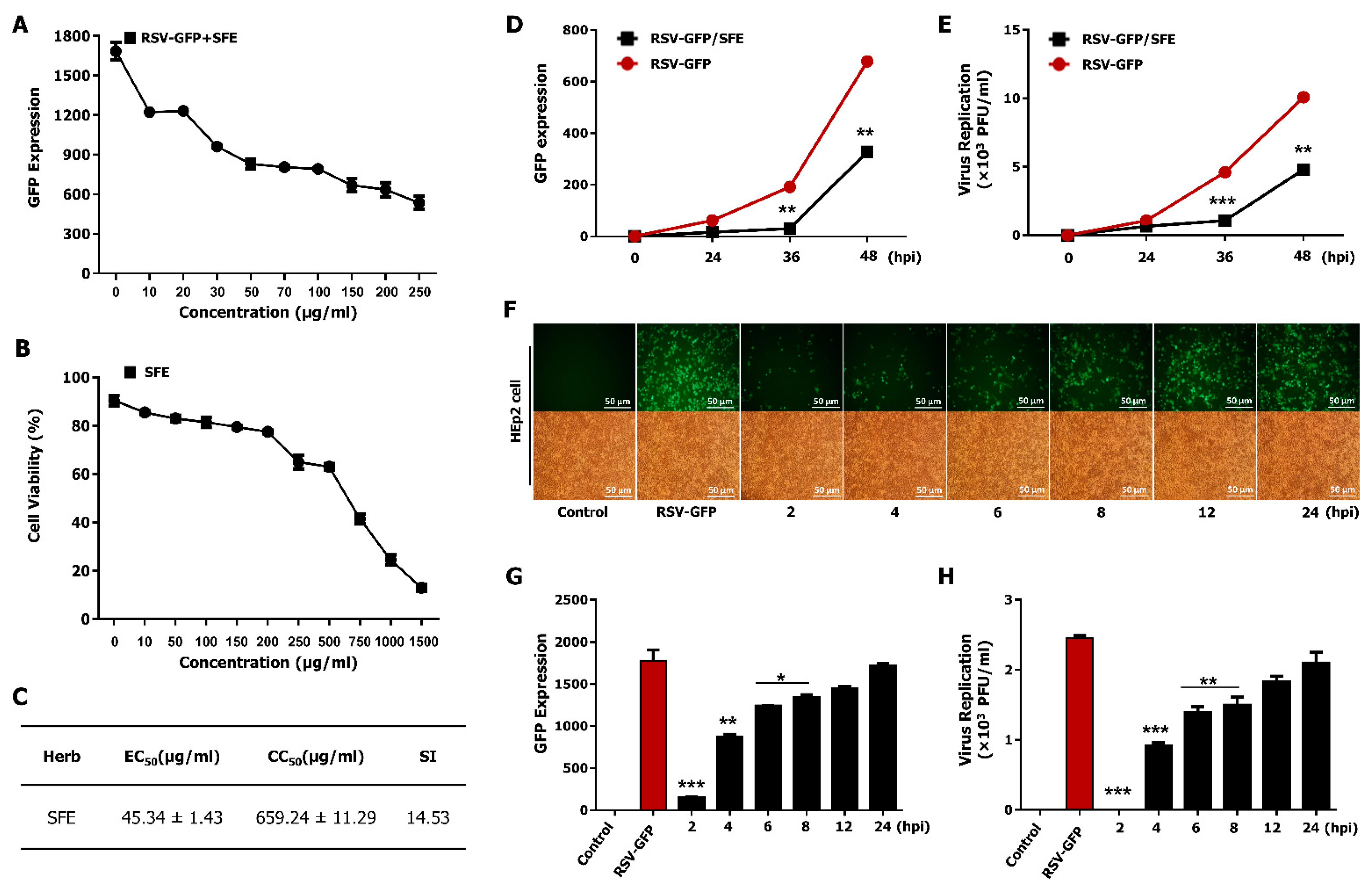 Viruses 13 00548 g002