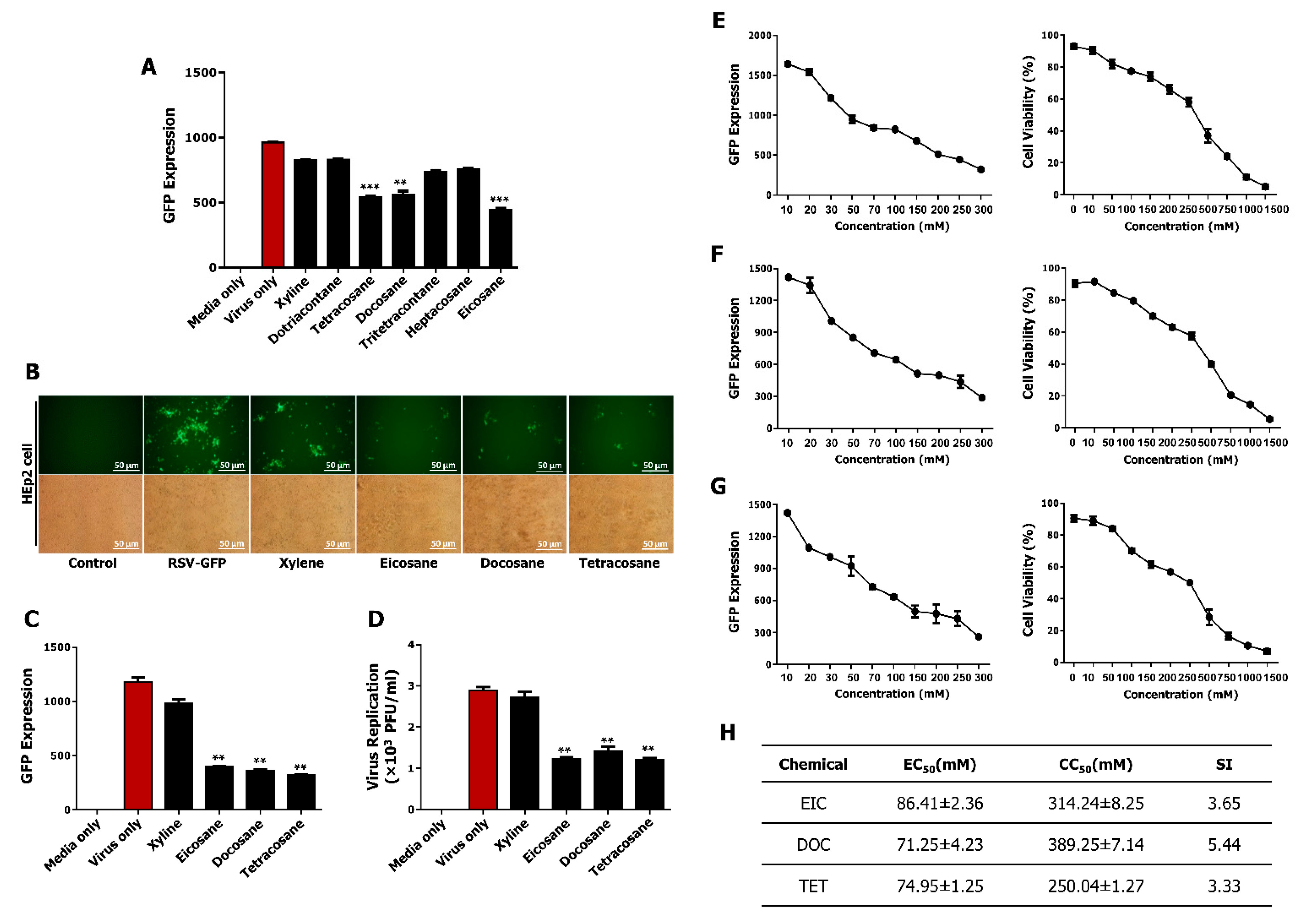 Viruses 13 00548 g004